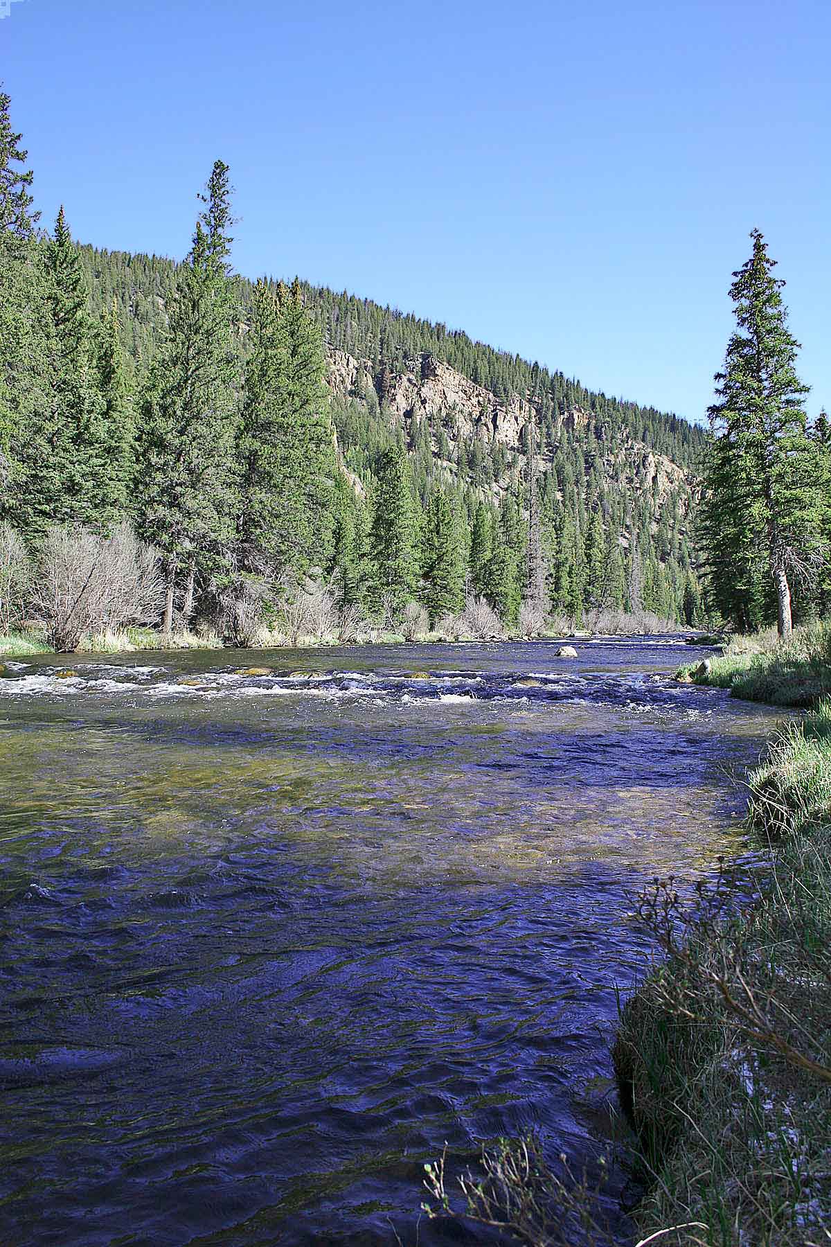 Wildflower at Crystal Creek property picture 14 of 33
