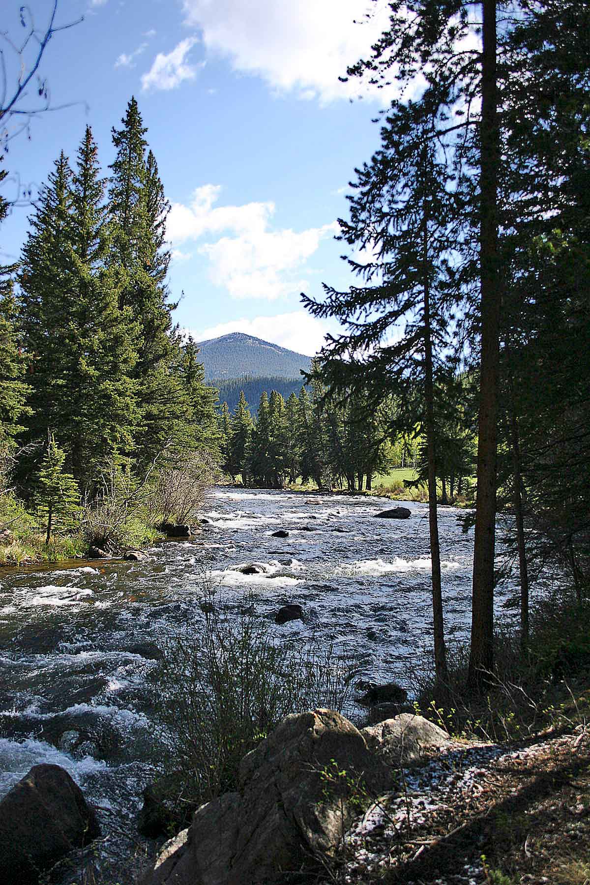 Wildflower at Crystal Creek property picture 15 of 33