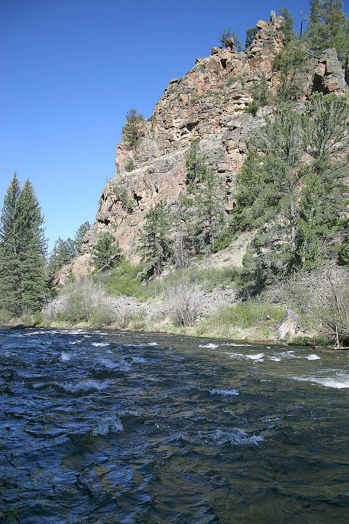 Wildflower at Crystal Creek property picture 16 of 33