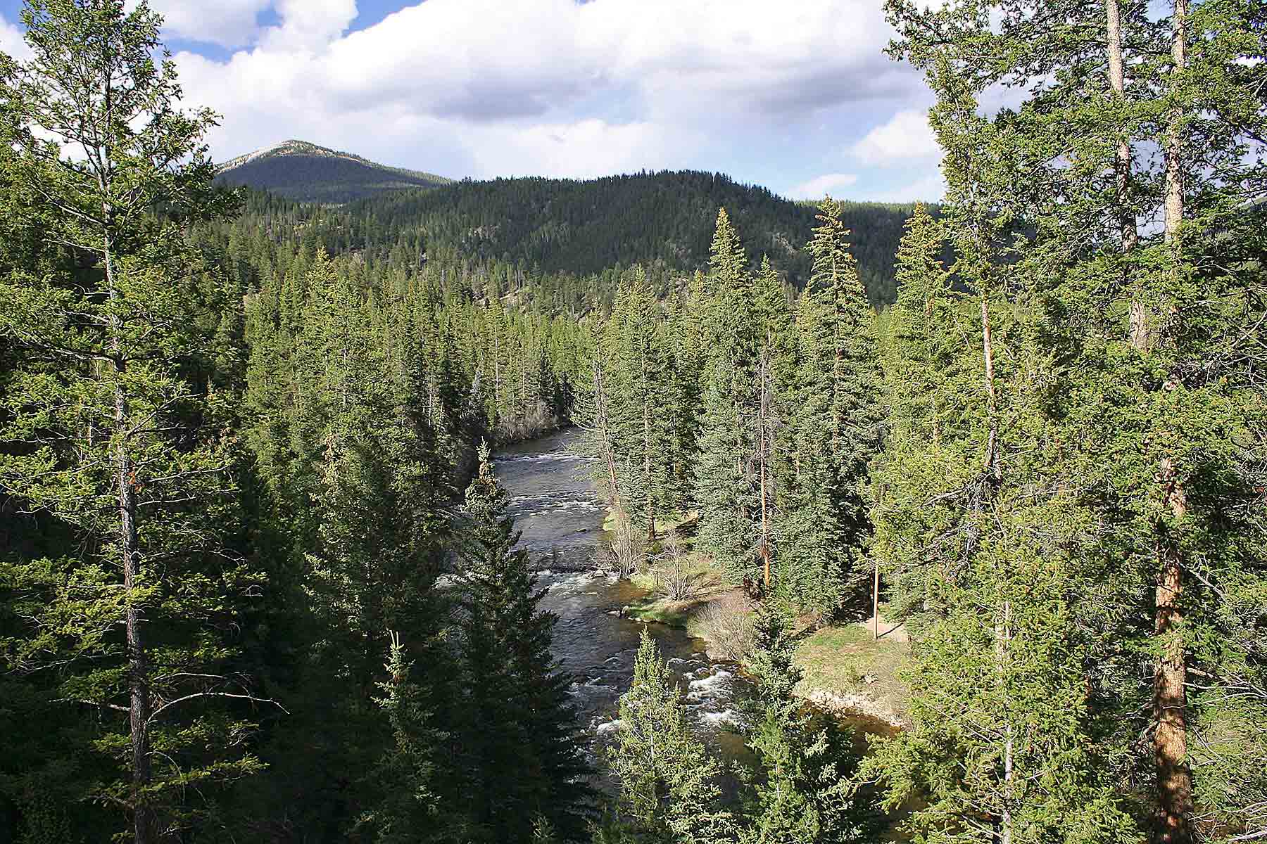 Wildflower at Crystal Creek property picture 17 of 33