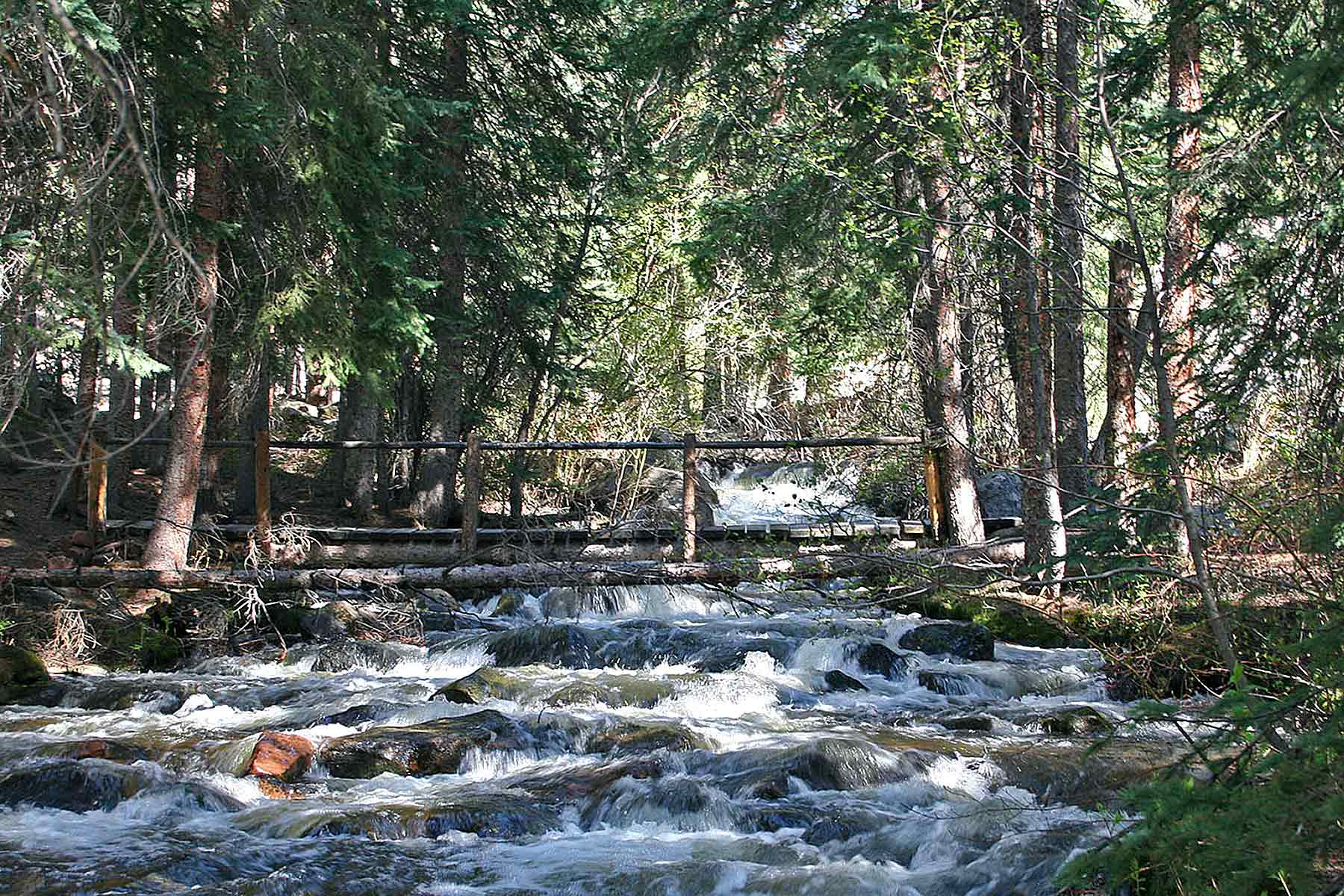 Wildflower at Crystal Creek property picture 18 of 33