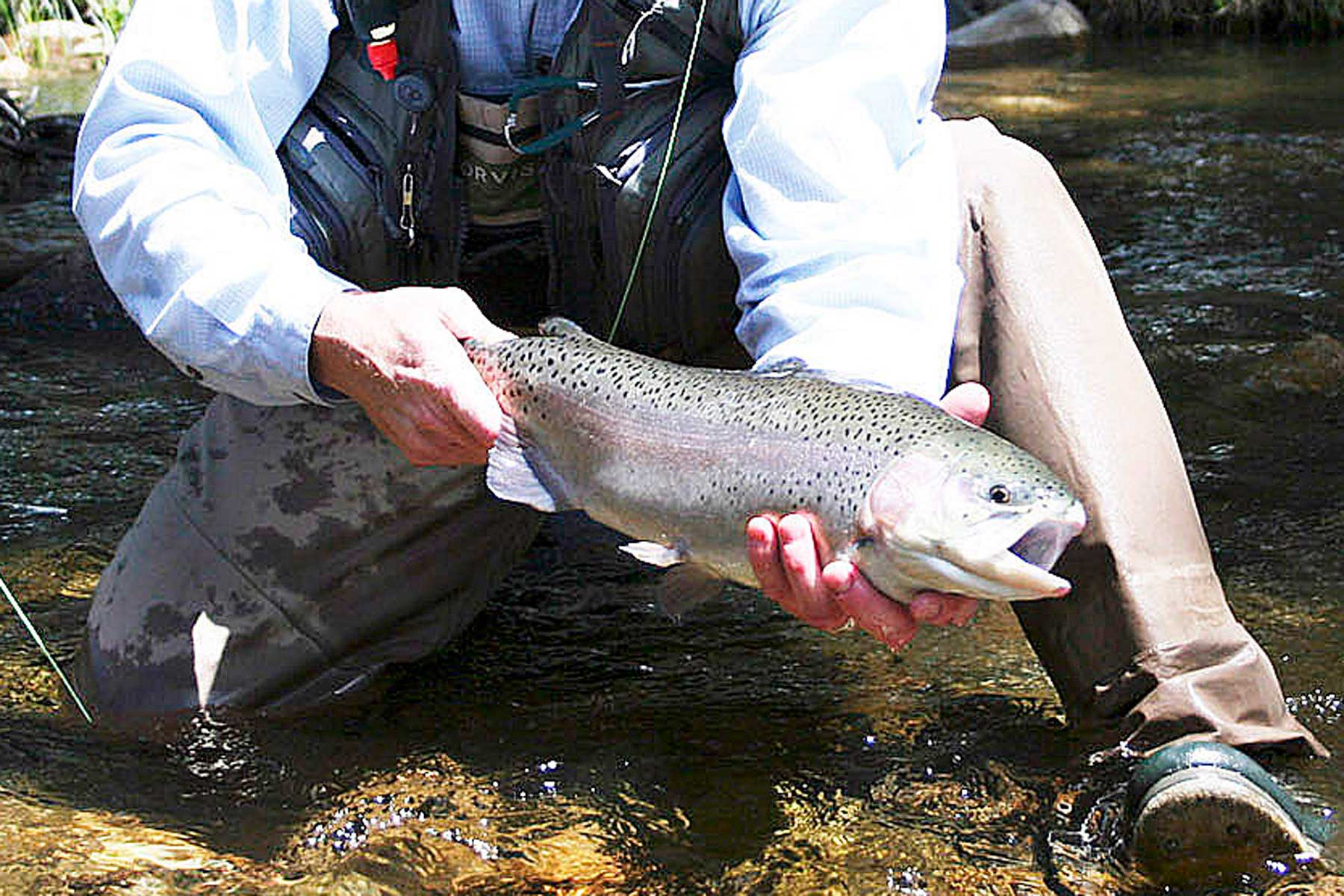 Wildflower at Crystal Creek property picture 19 of 33