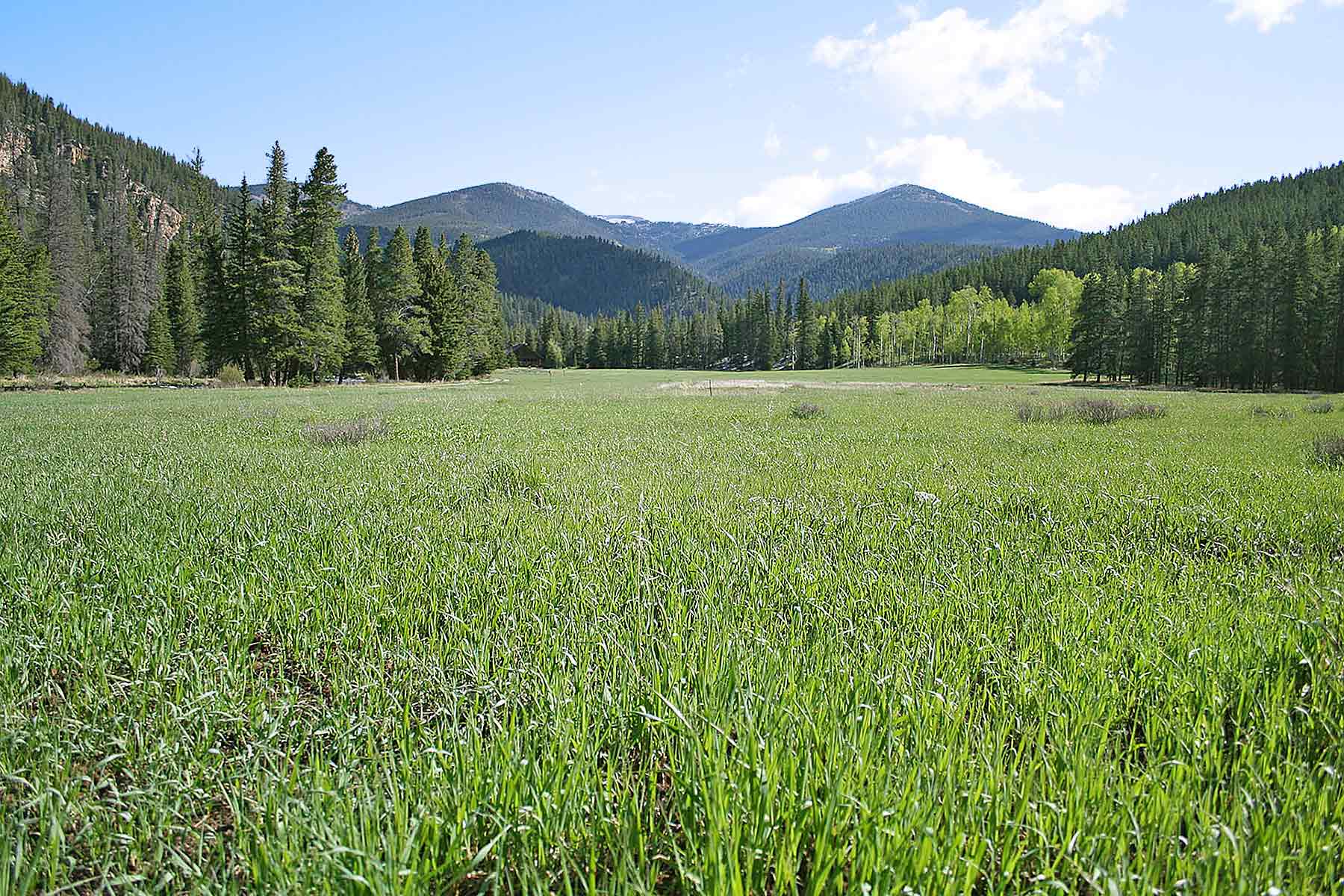 Wildflower at Crystal Creek property picture 22 of 33