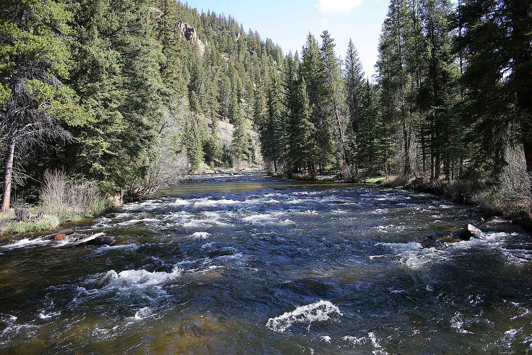 Wildflower at Crystal Creek property picture 24 of 33