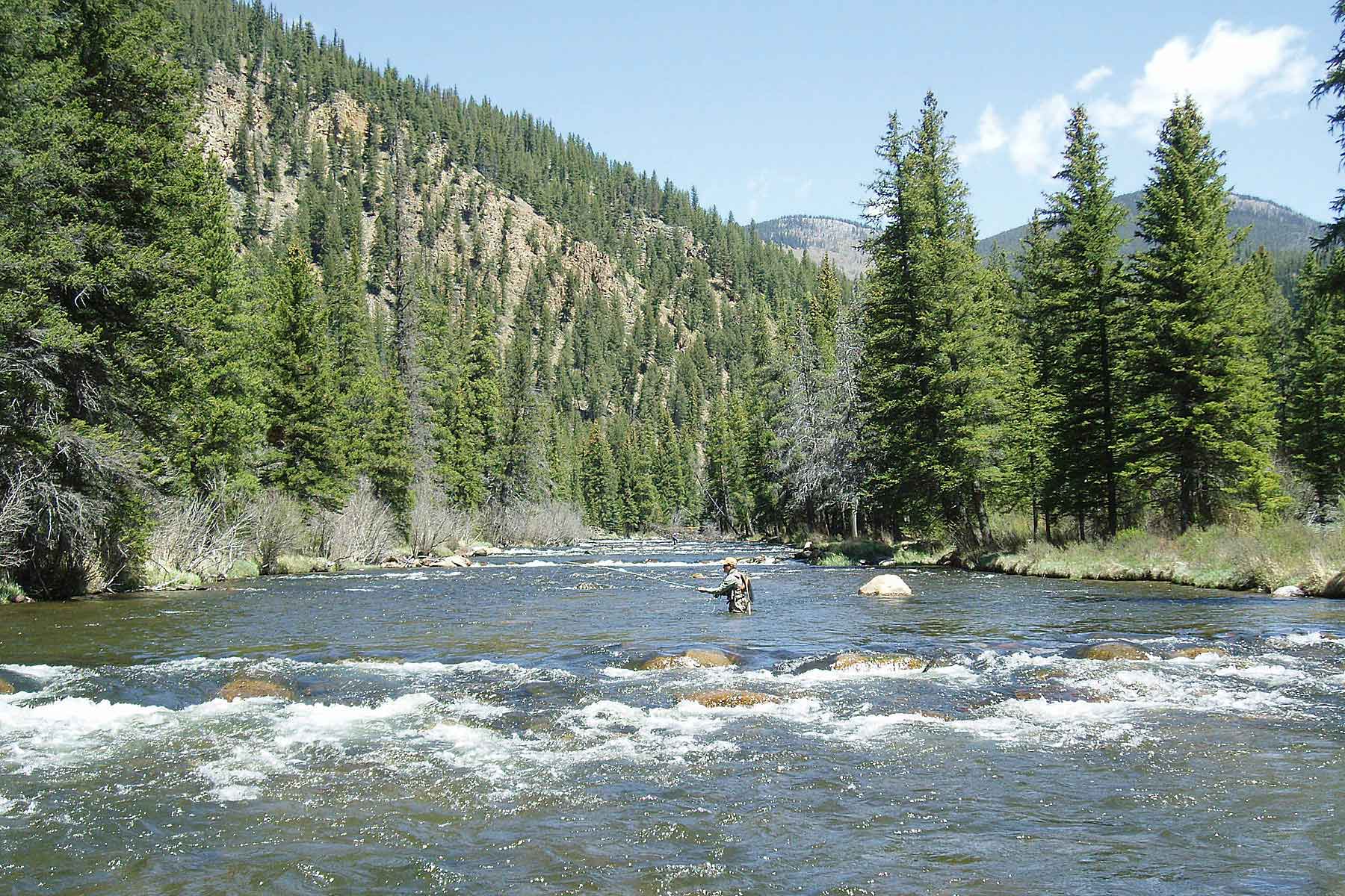 Wildflower at Crystal Creek property picture 26 of 33