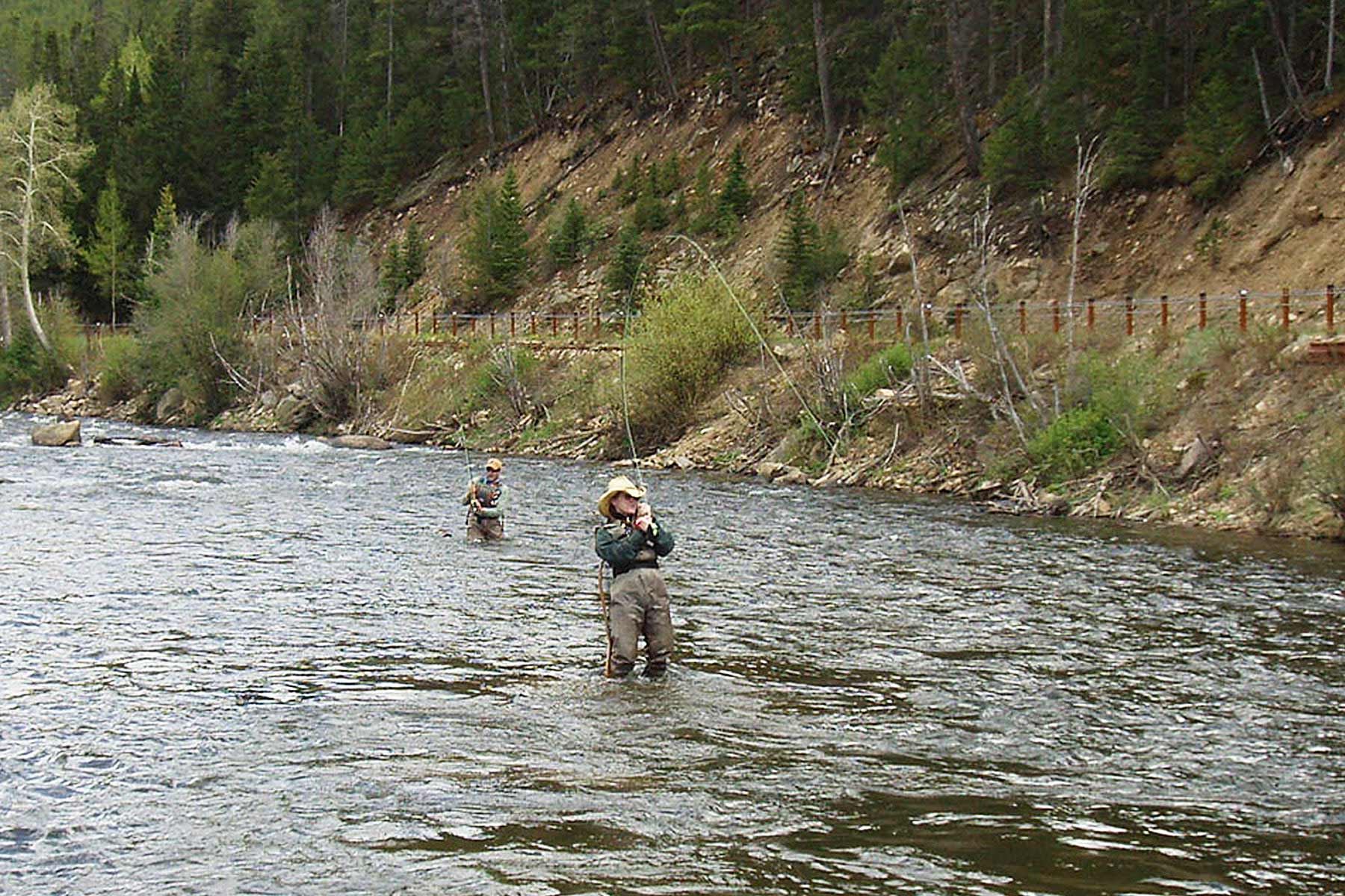 Wildflower at Crystal Creek property picture 27 of 33