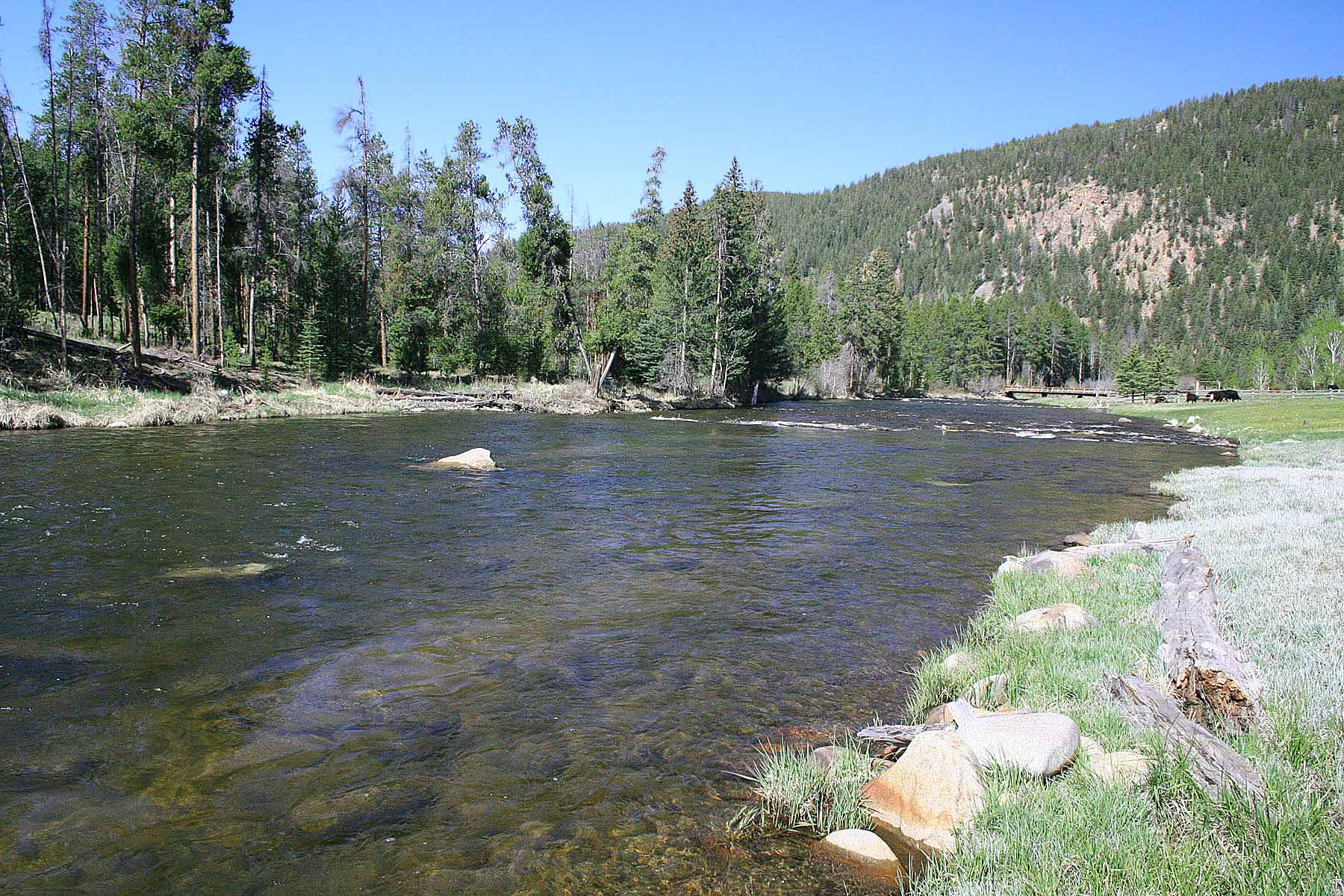 Wildflower at Crystal Creek property picture 28 of 33