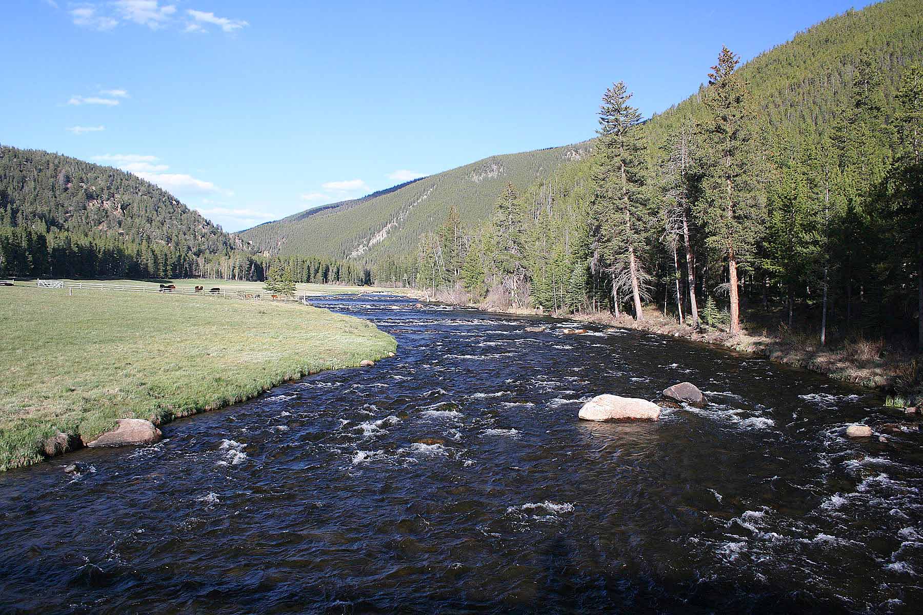 Wildflower at Crystal Creek property picture 30 of 33