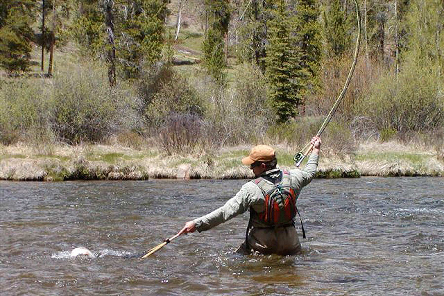 Wildflower at Crystal Creek property picture 31 of 33