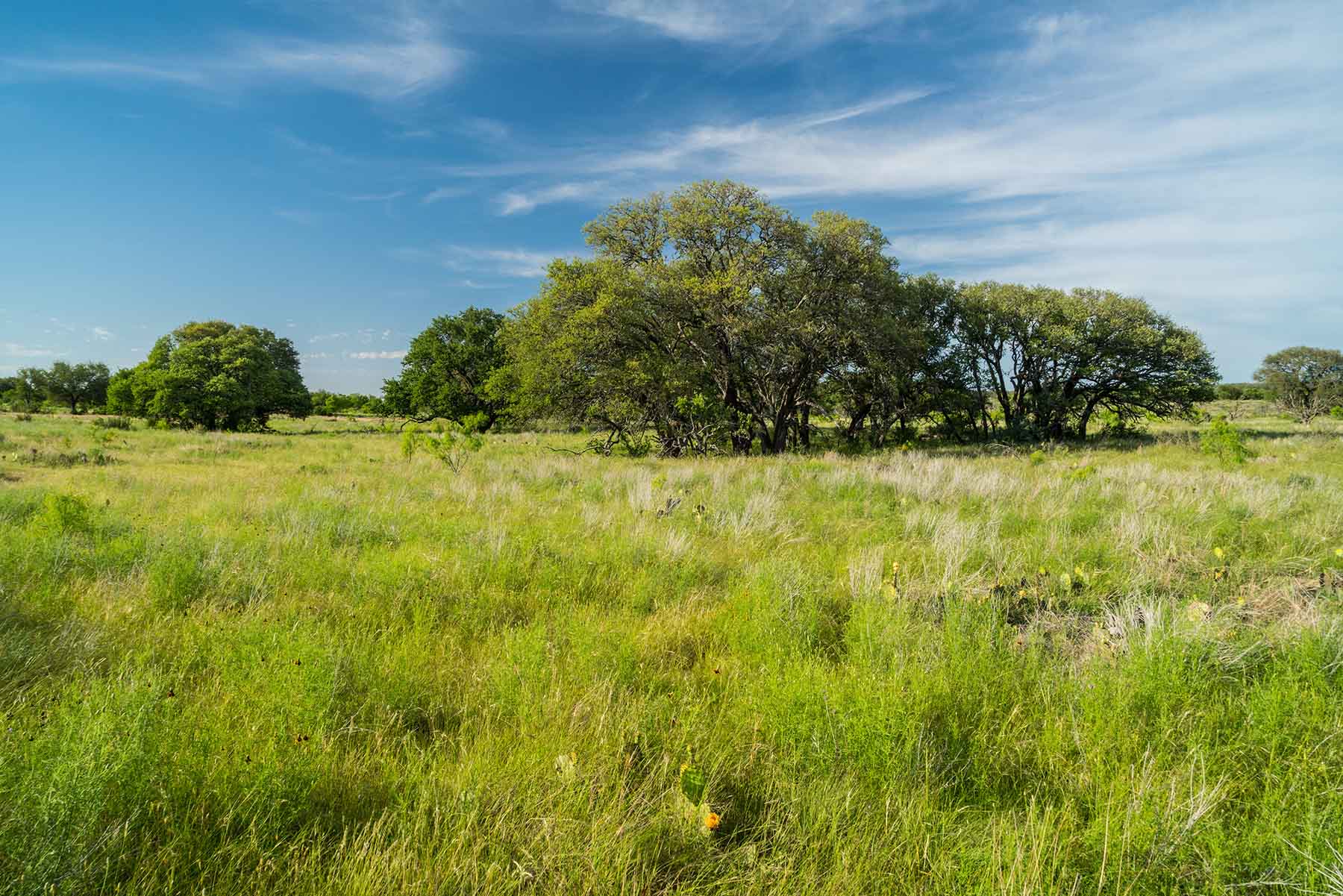 Oak Hills Ranch property picture 6 of 15