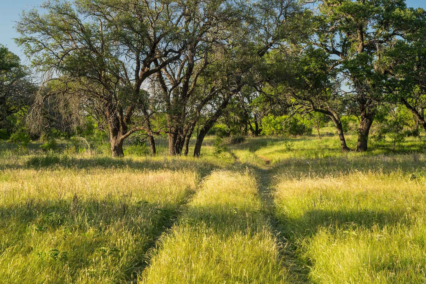 Oak Hills Ranch property picture 11 of 15