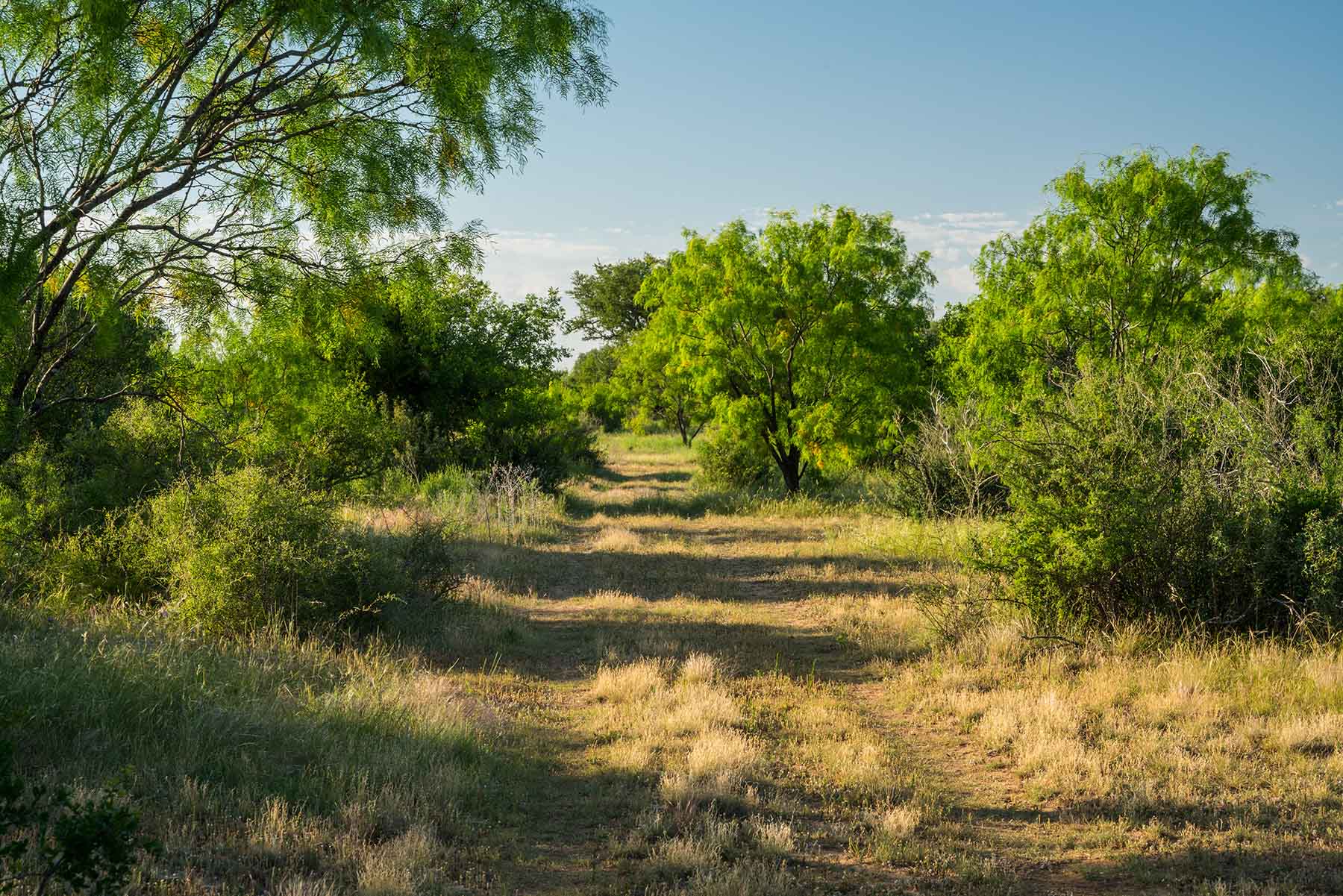 Oak Hills Ranch property picture 13 of 15