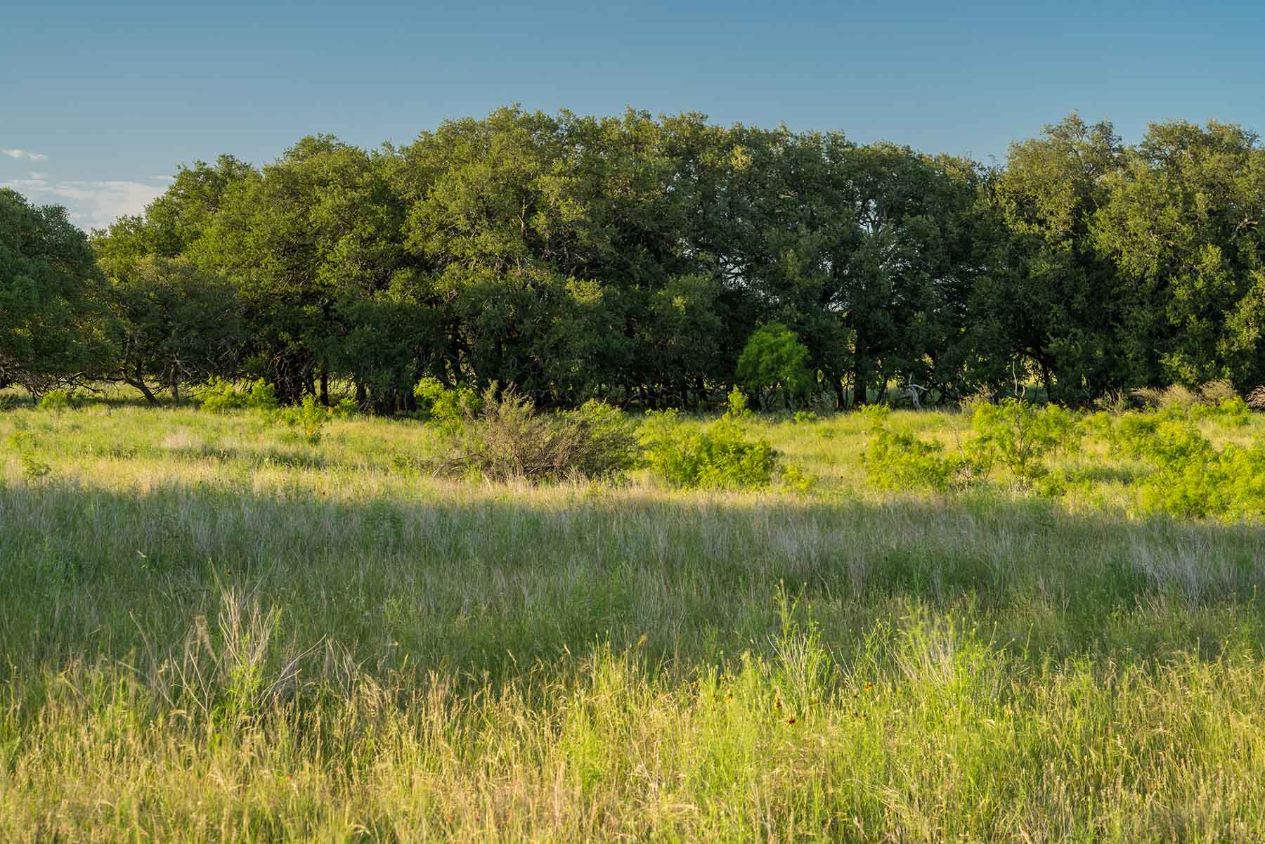 Oak Hills Ranch Sold Texas Hall and Hall