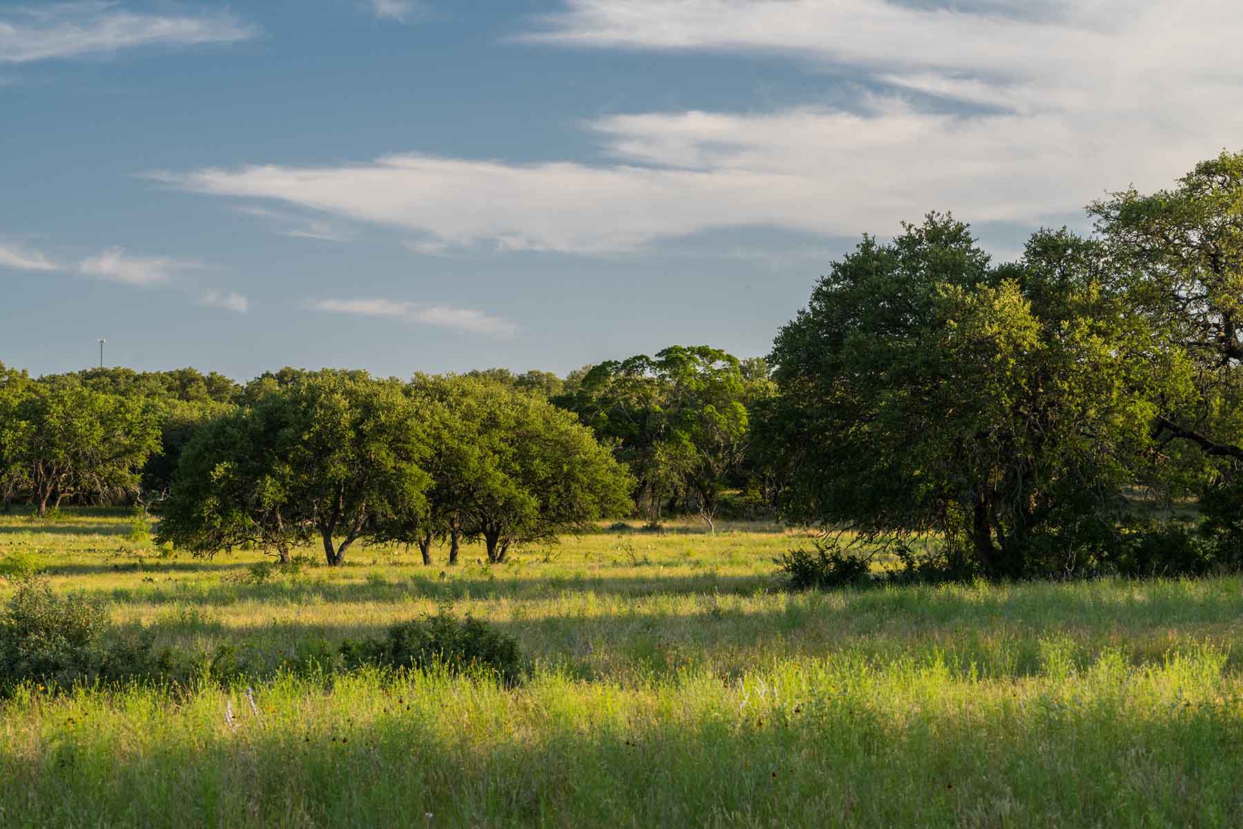 Oak Hills Ranch property picture 15 of 15