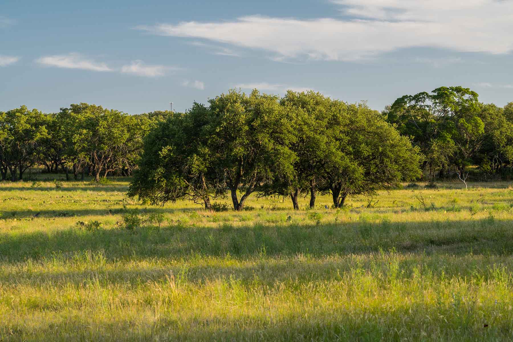 Oak Hills Ranch property picture 2 of 15
