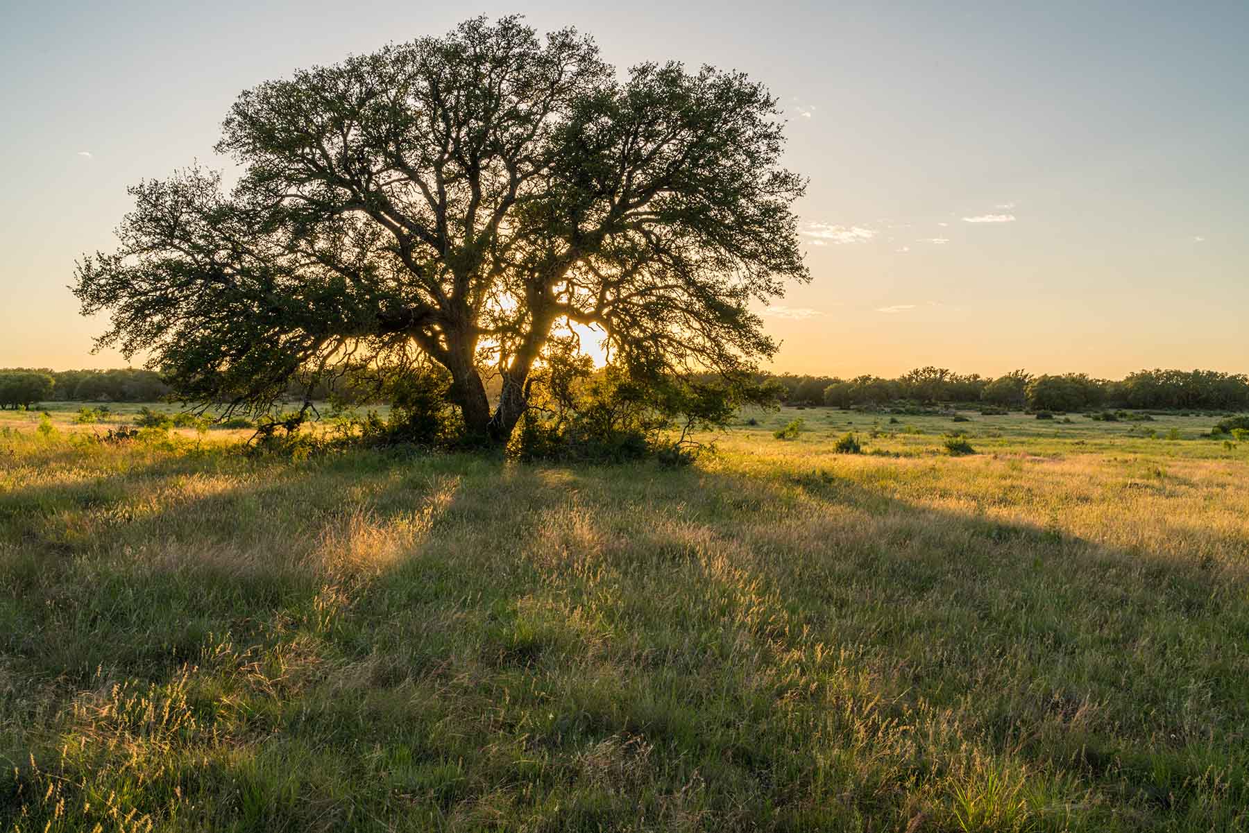 Oak Hills Ranch property picture 5 of 15