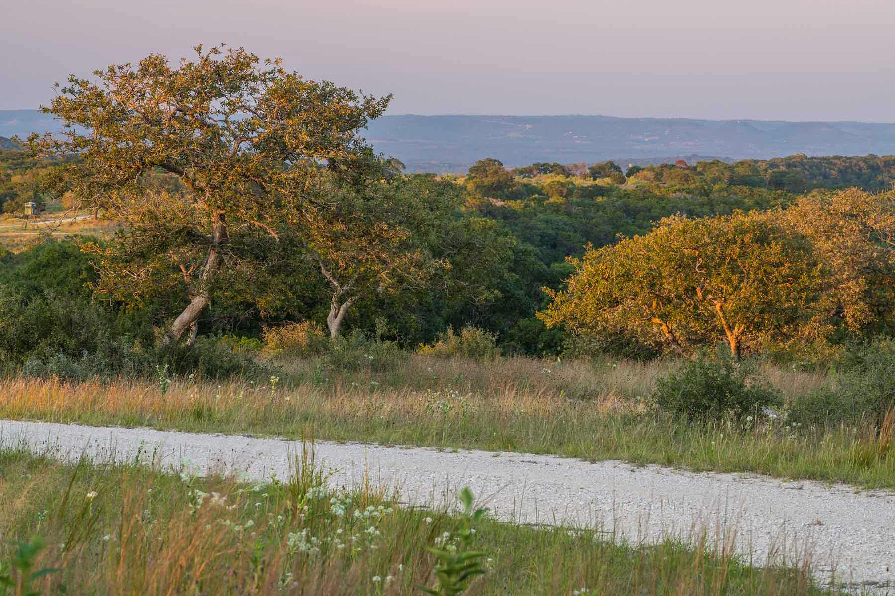 Austin Lakes Ranch property picture 15 of 16