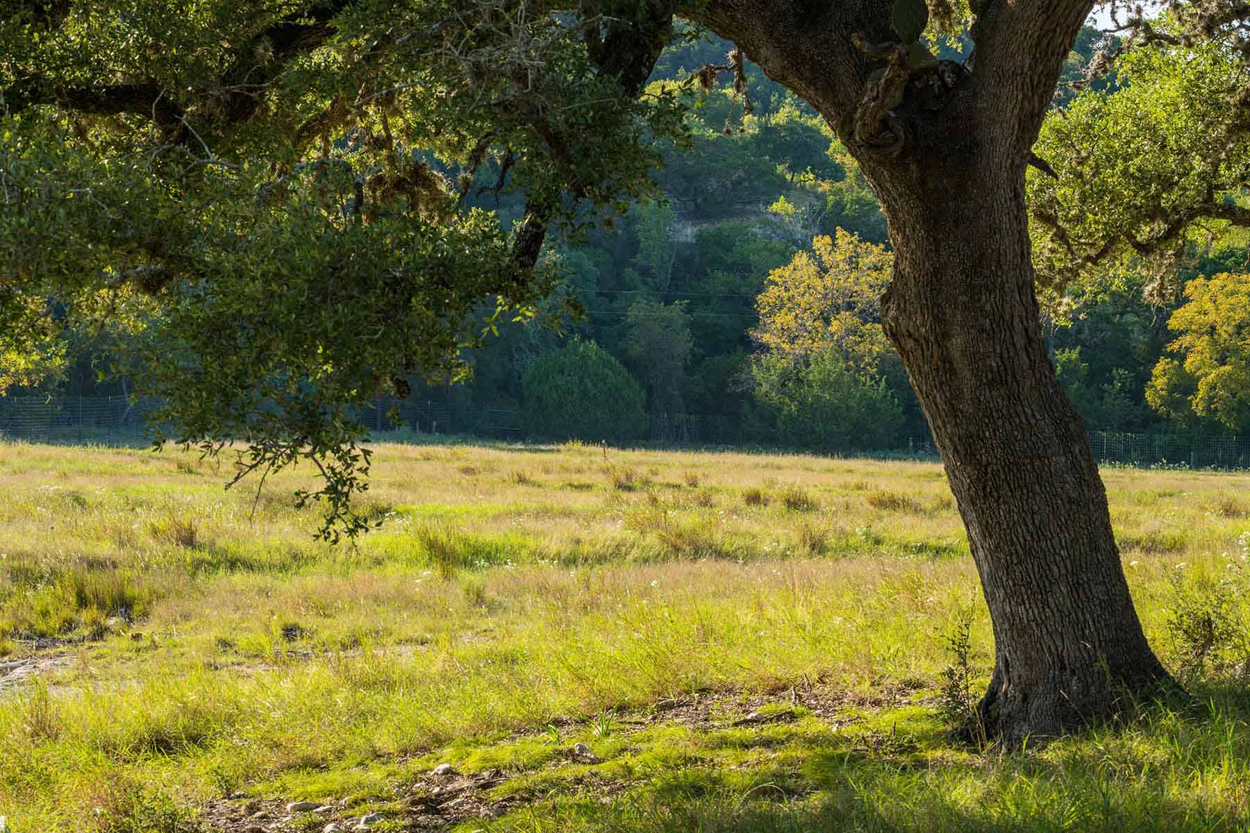 Austin Lakes Ranch property picture 16 of 16