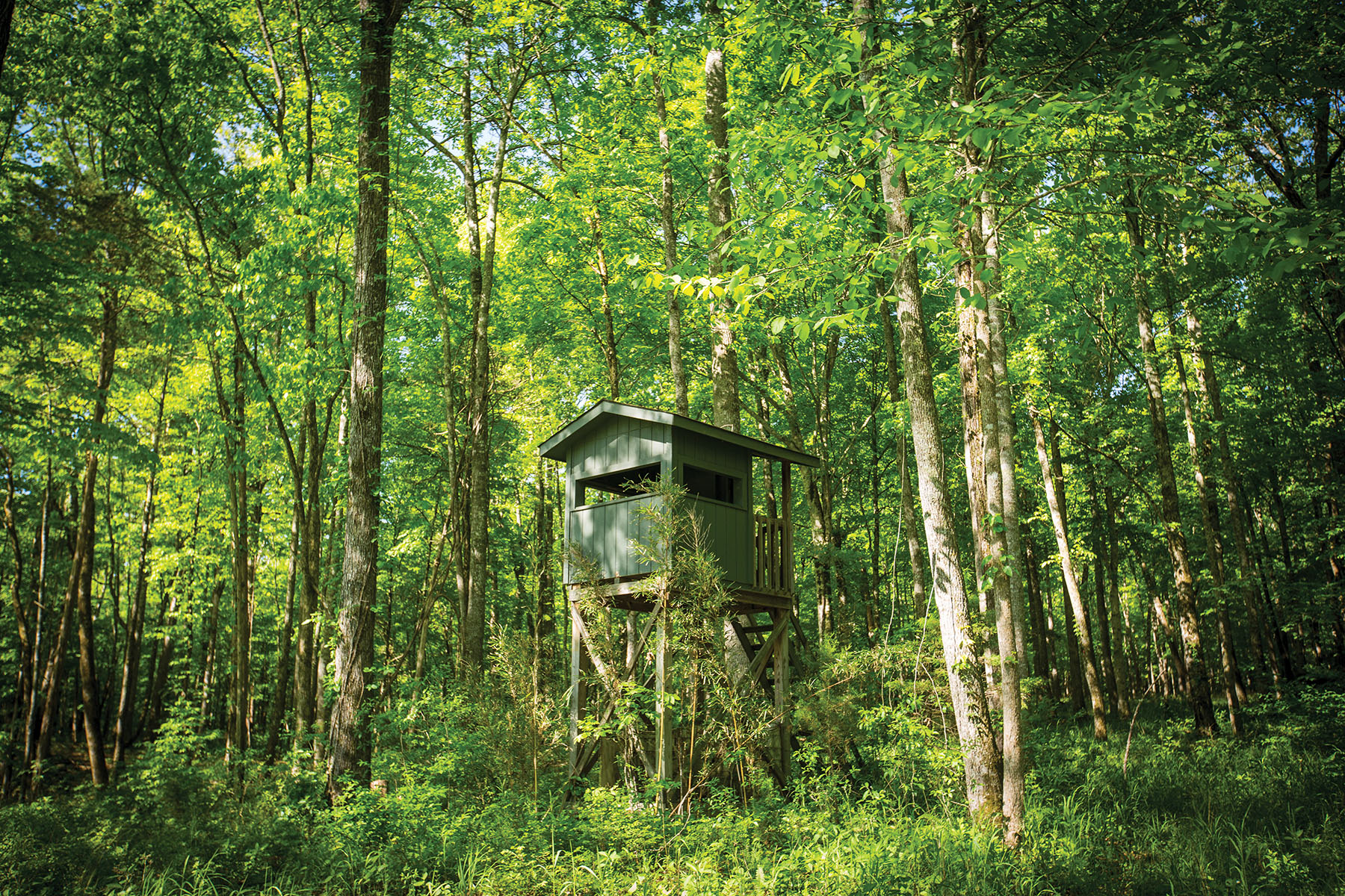 Round Cove property picture 12 of 111