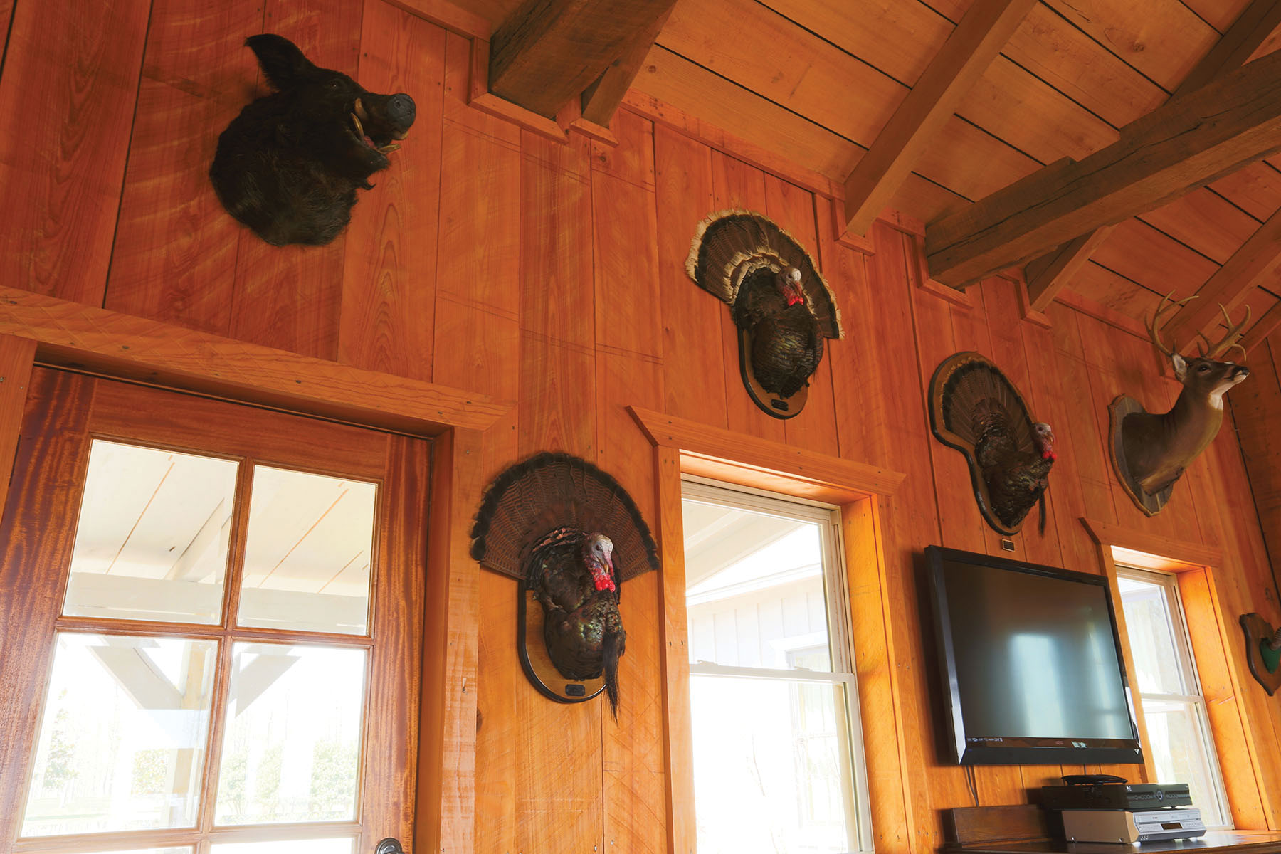 Round Cove property picture 45 of 111