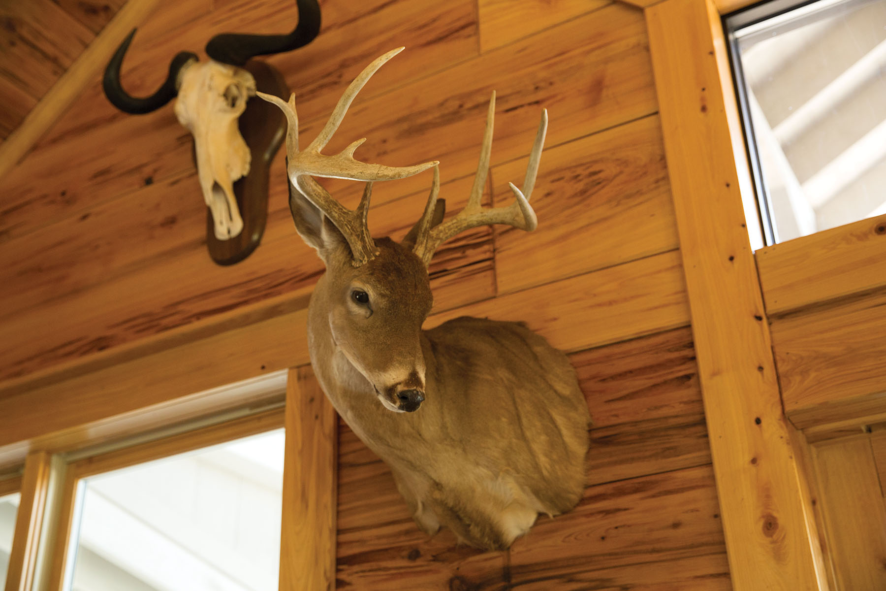 Round Cove property picture 47 of 111