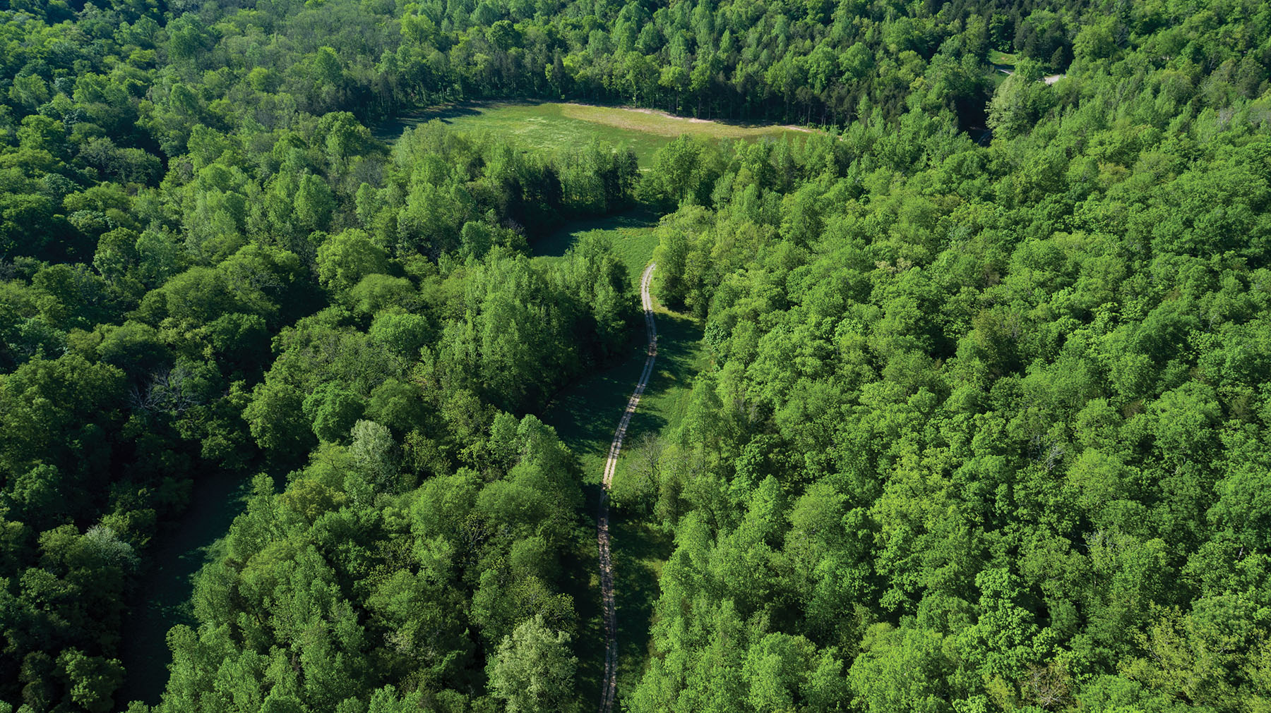 Round Cove property picture 94 of 111