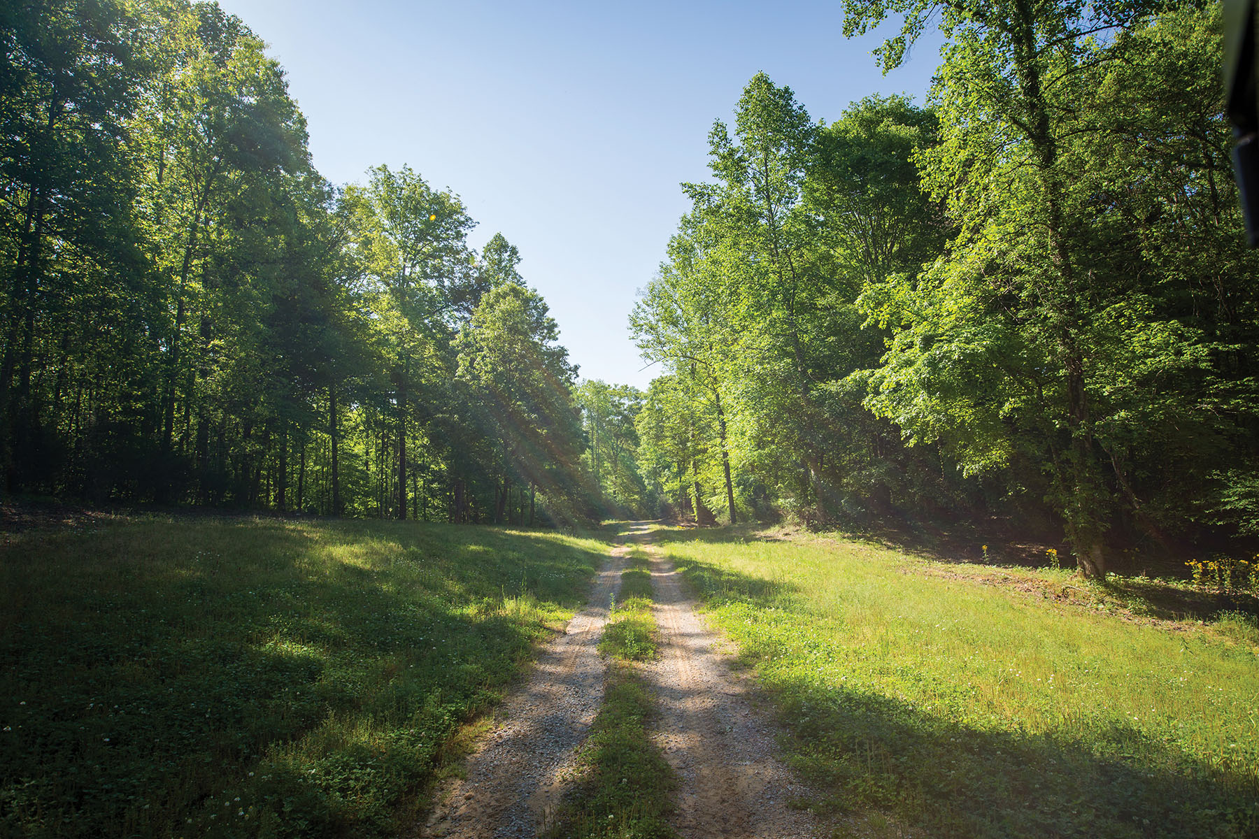 Round Cove property picture 7 of 111