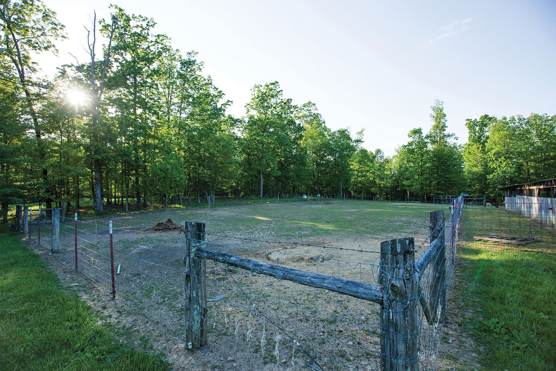 Round Cove property picture 74 of 111