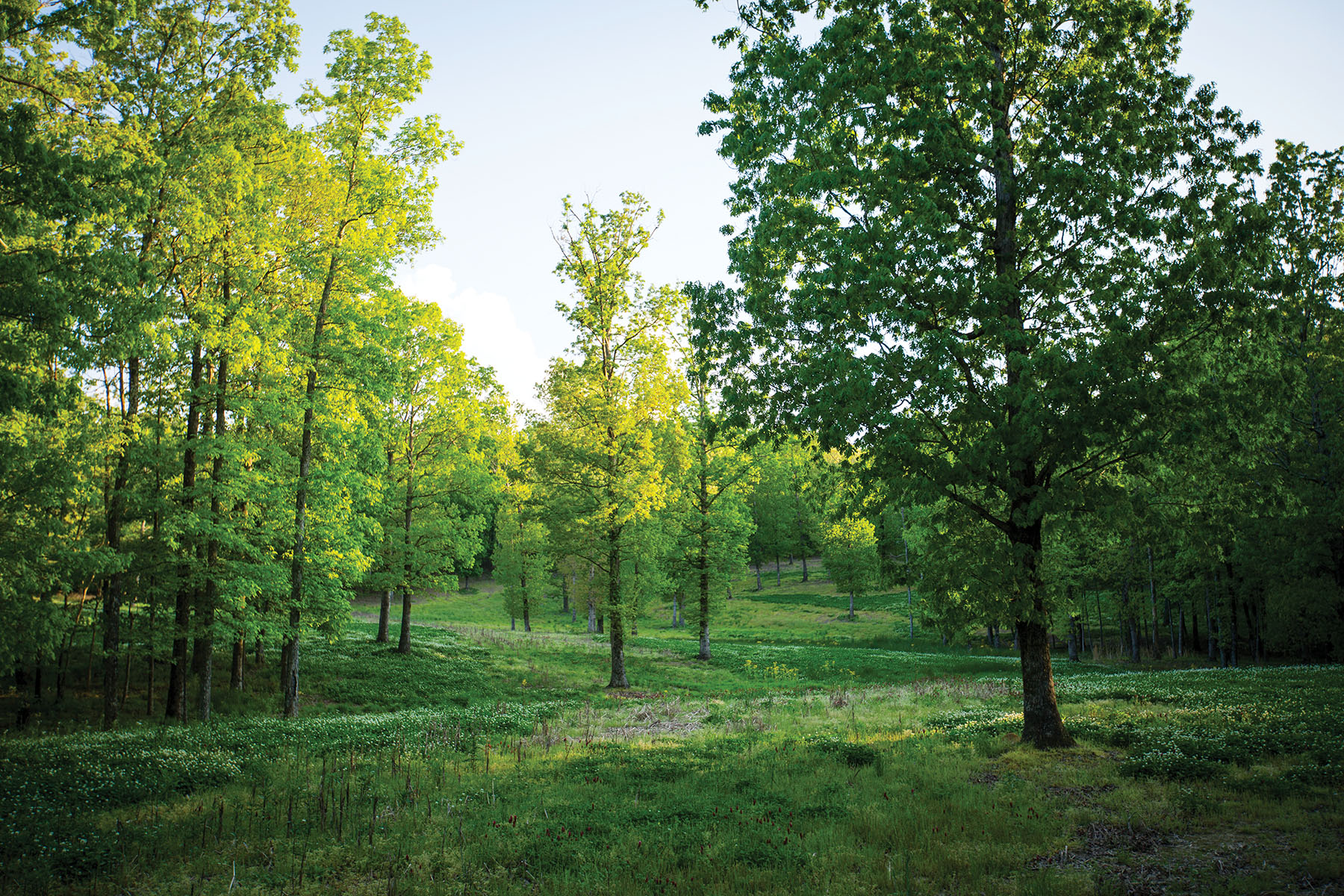 Round Cove property picture 84 of 111