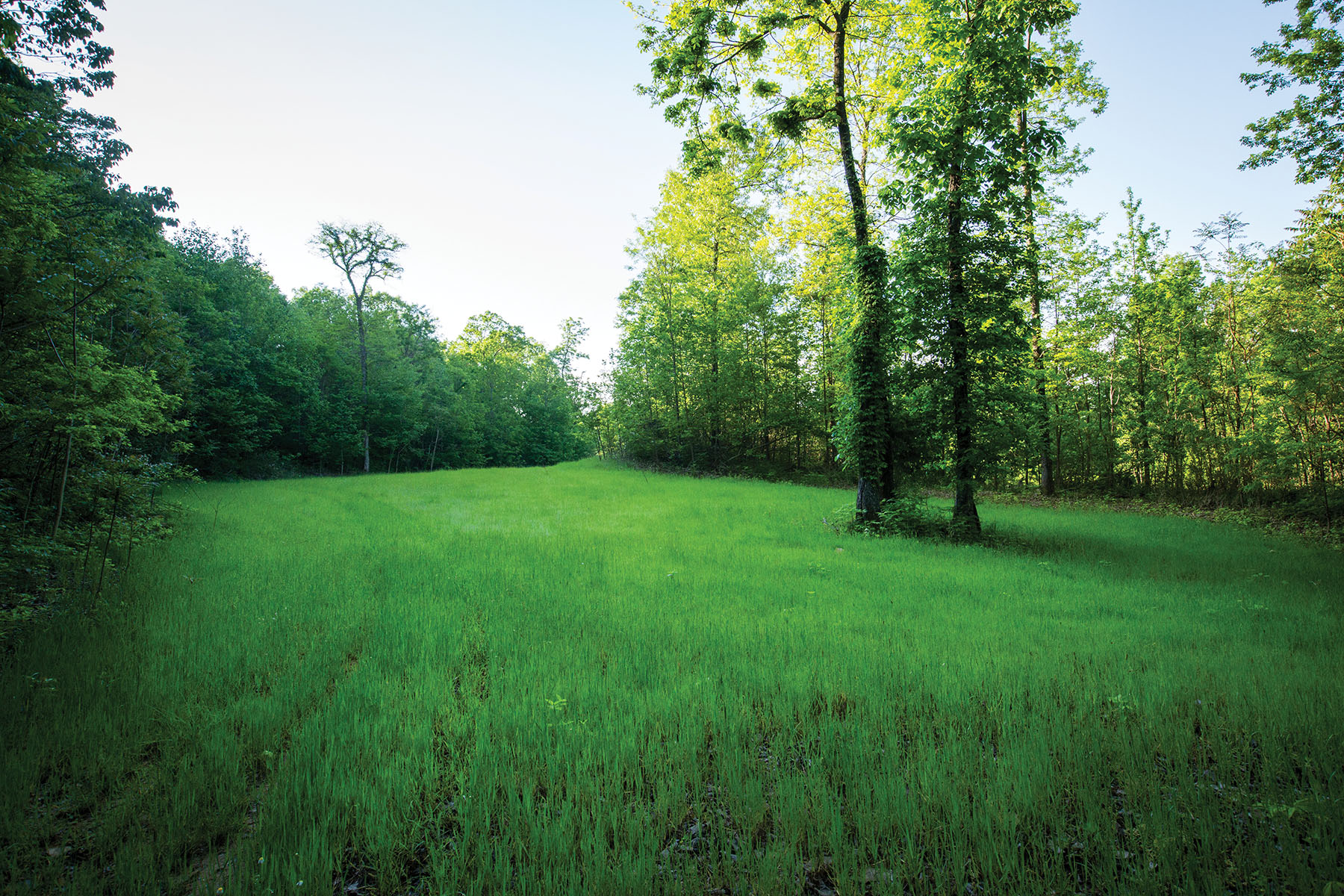 Round Cove property picture 102 of 111