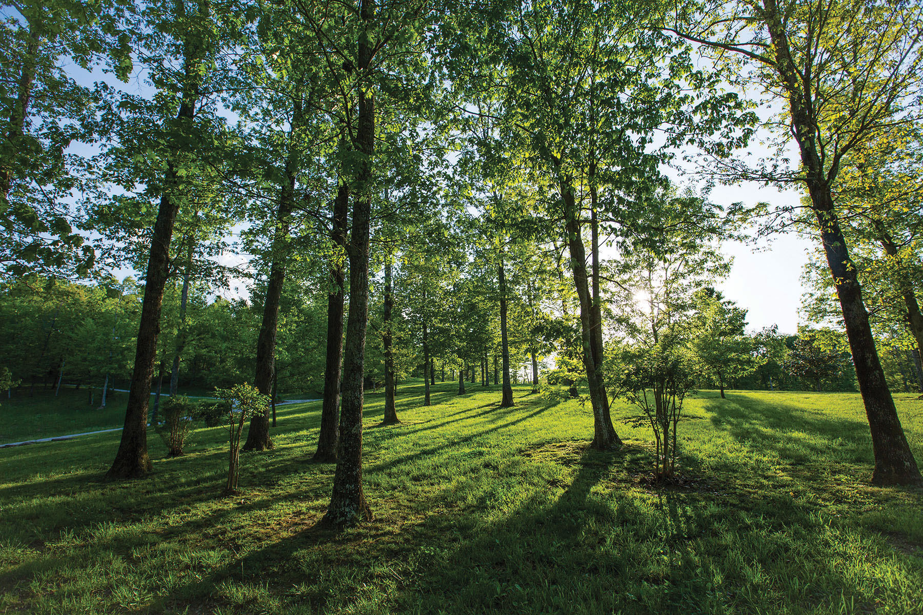 Round Cove property picture 77 of 111