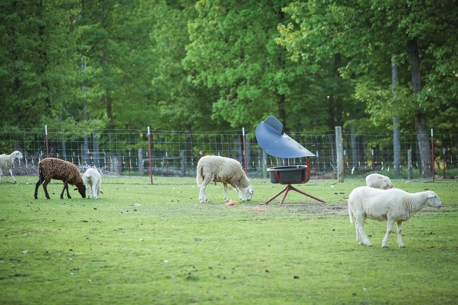 Round Cove property picture 75 of 111