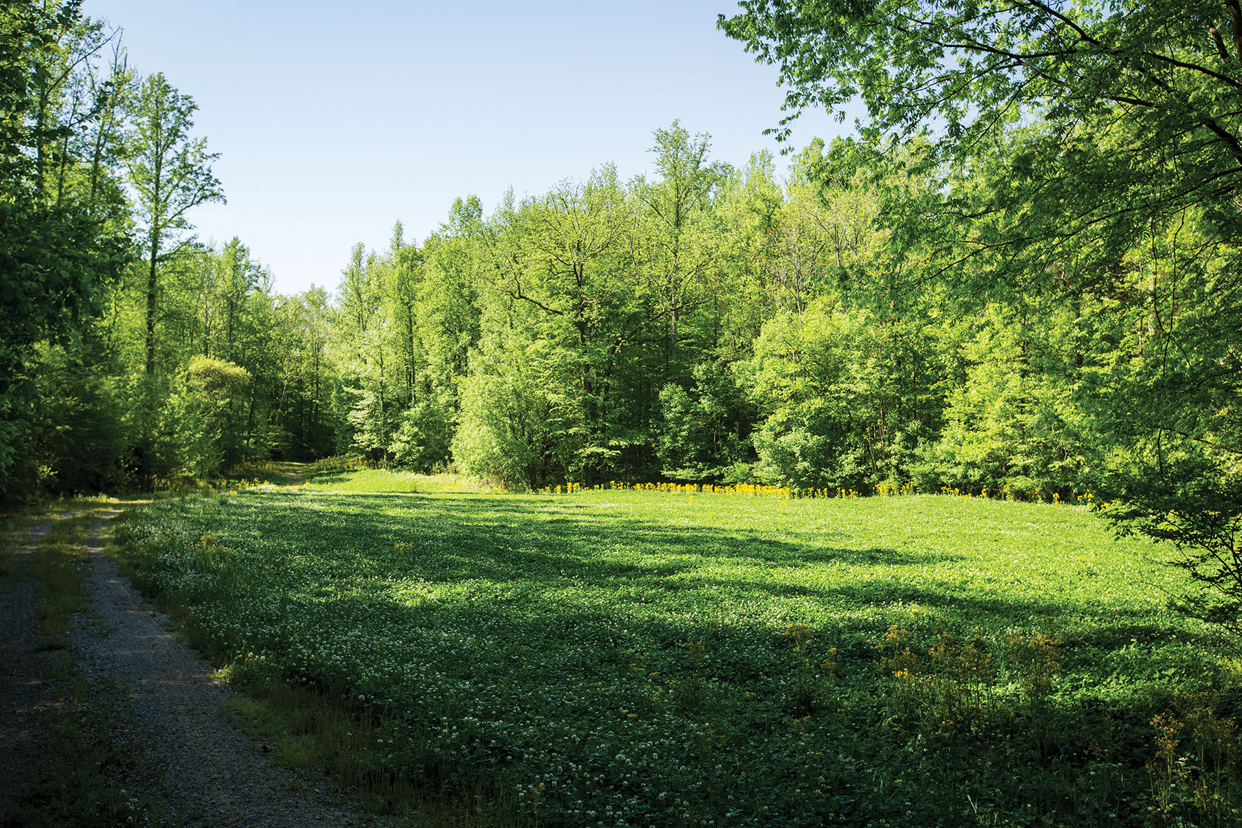 Round Cove property picture 106 of 111