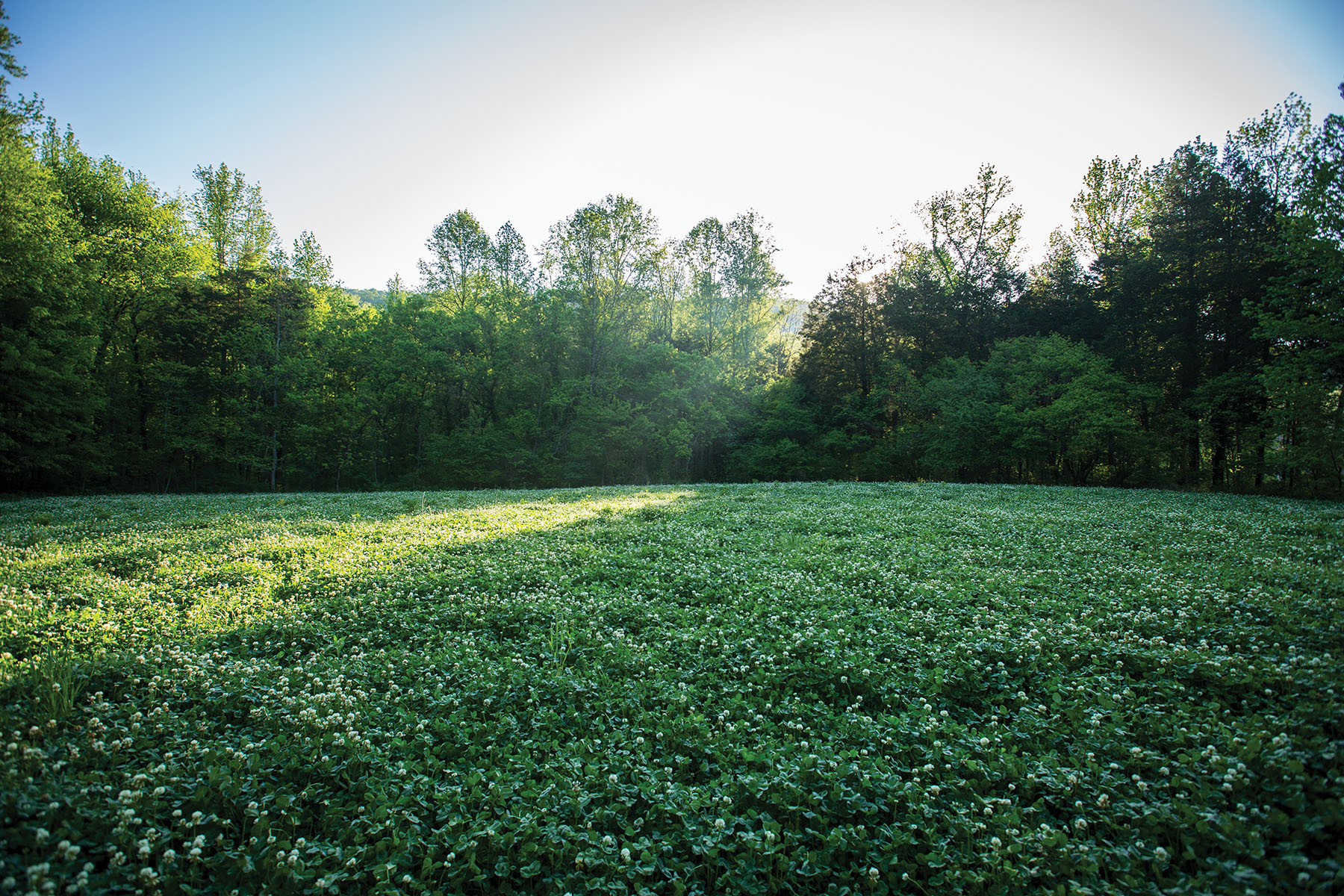 Round Cove property picture 93 of 111