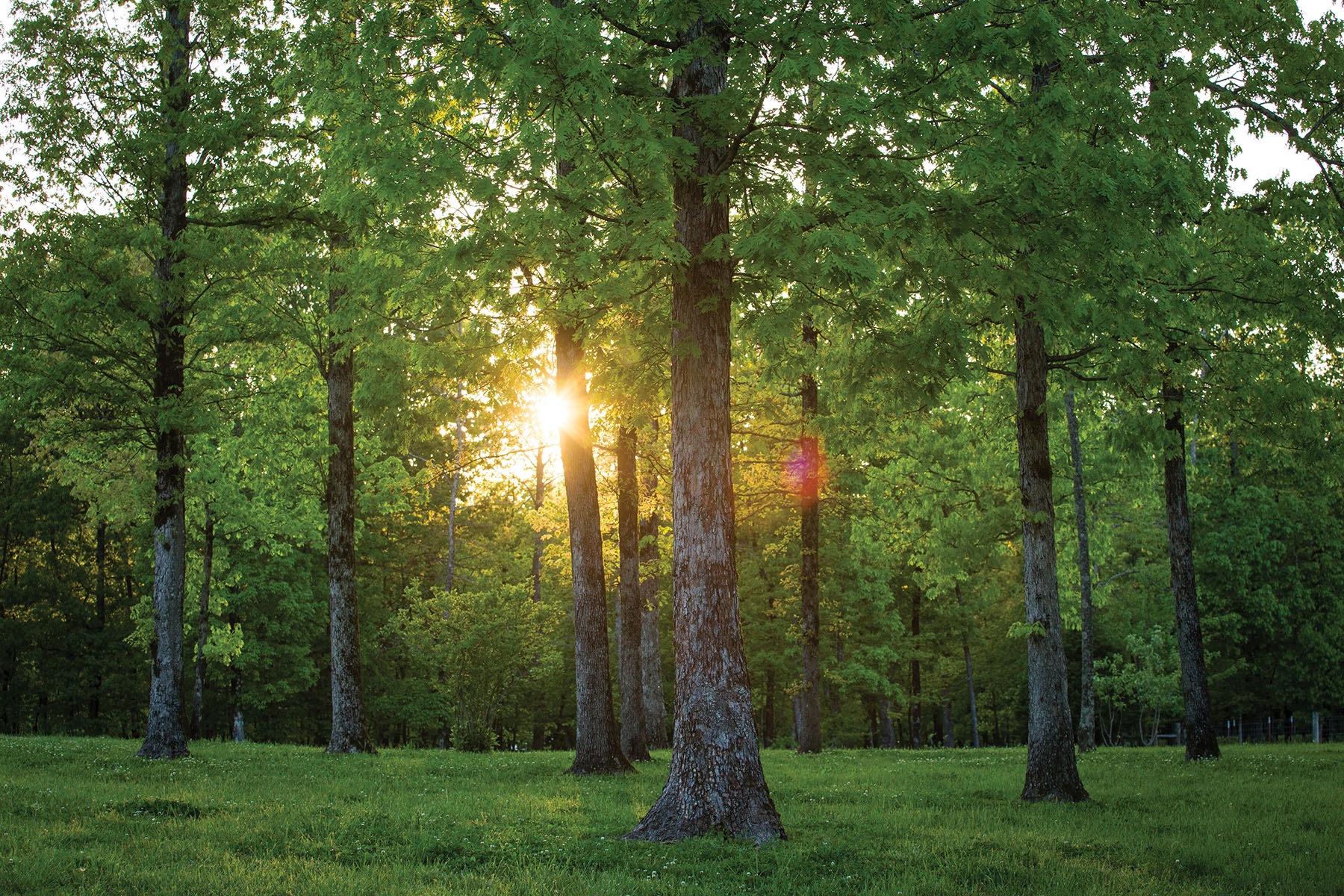 Round Cove property picture 90 of 111