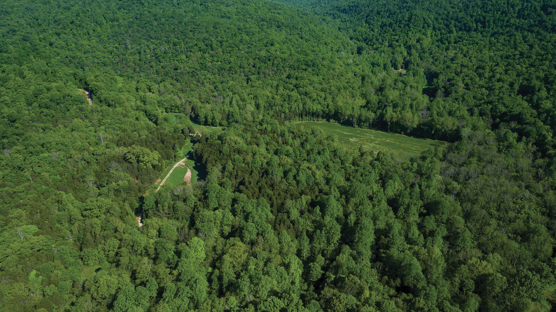 Round Cove property picture 4 of 111