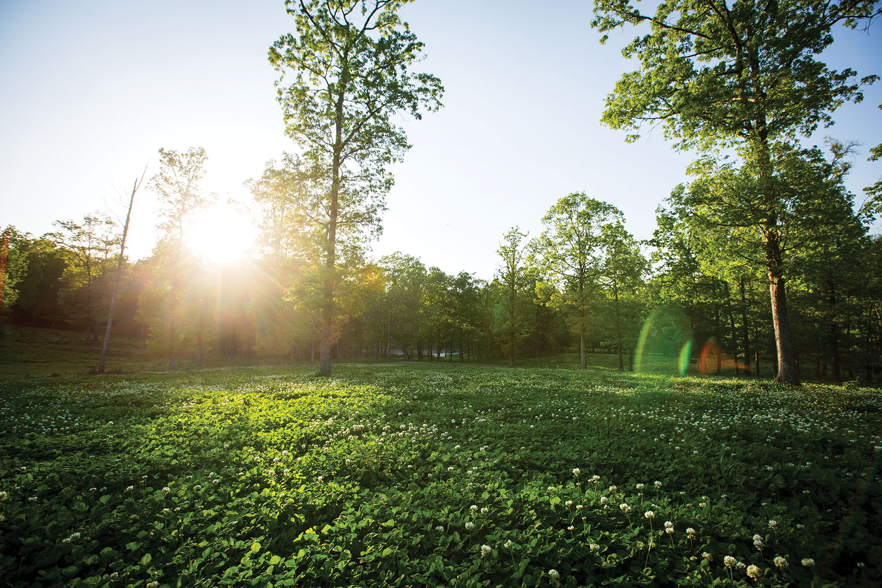 Round Cove property picture 83 of 111