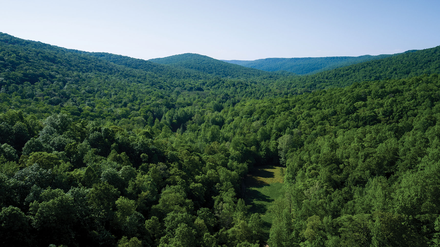 Round Cove property picture 8 of 111