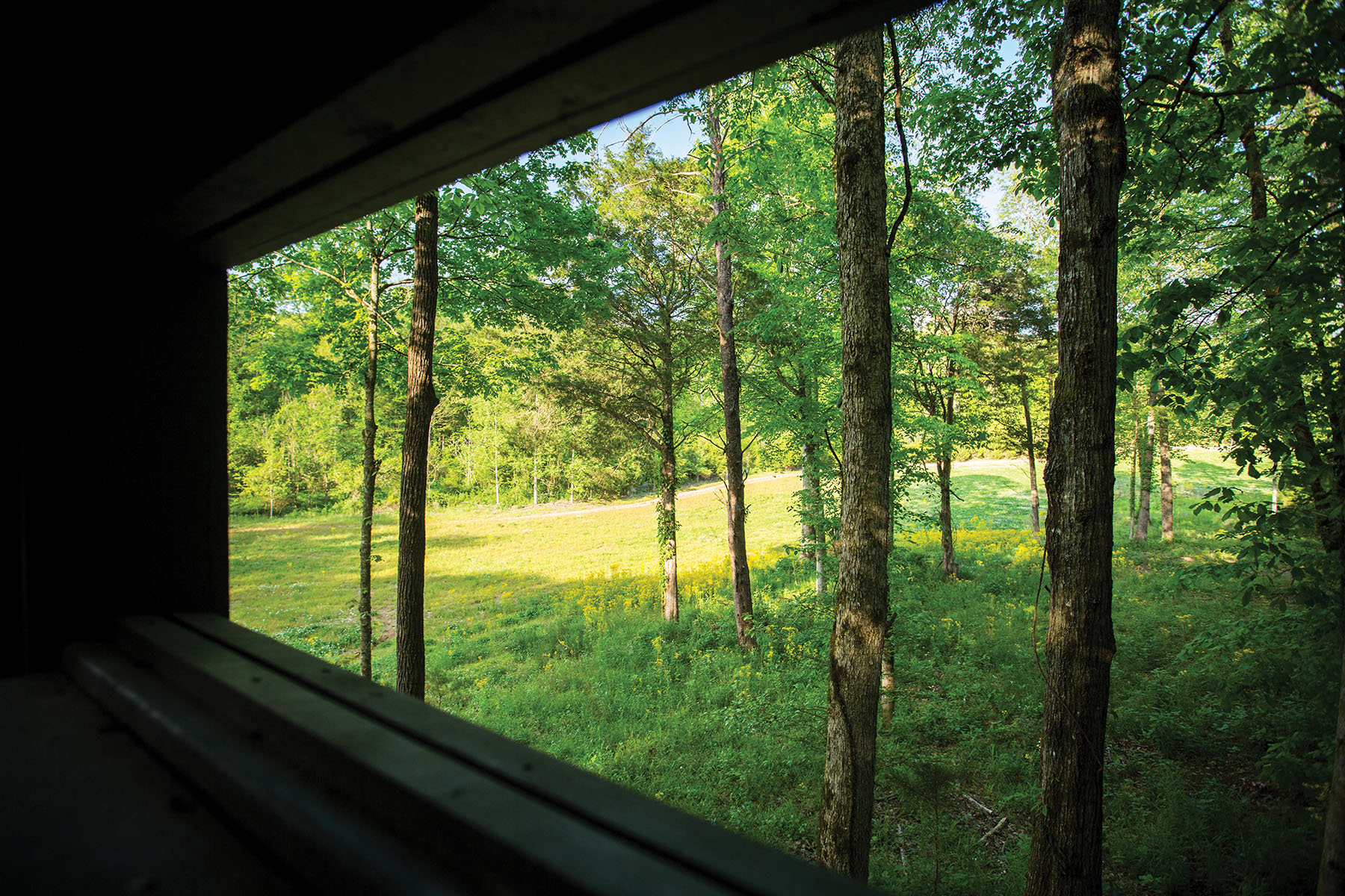 Round Cove property picture 13 of 111