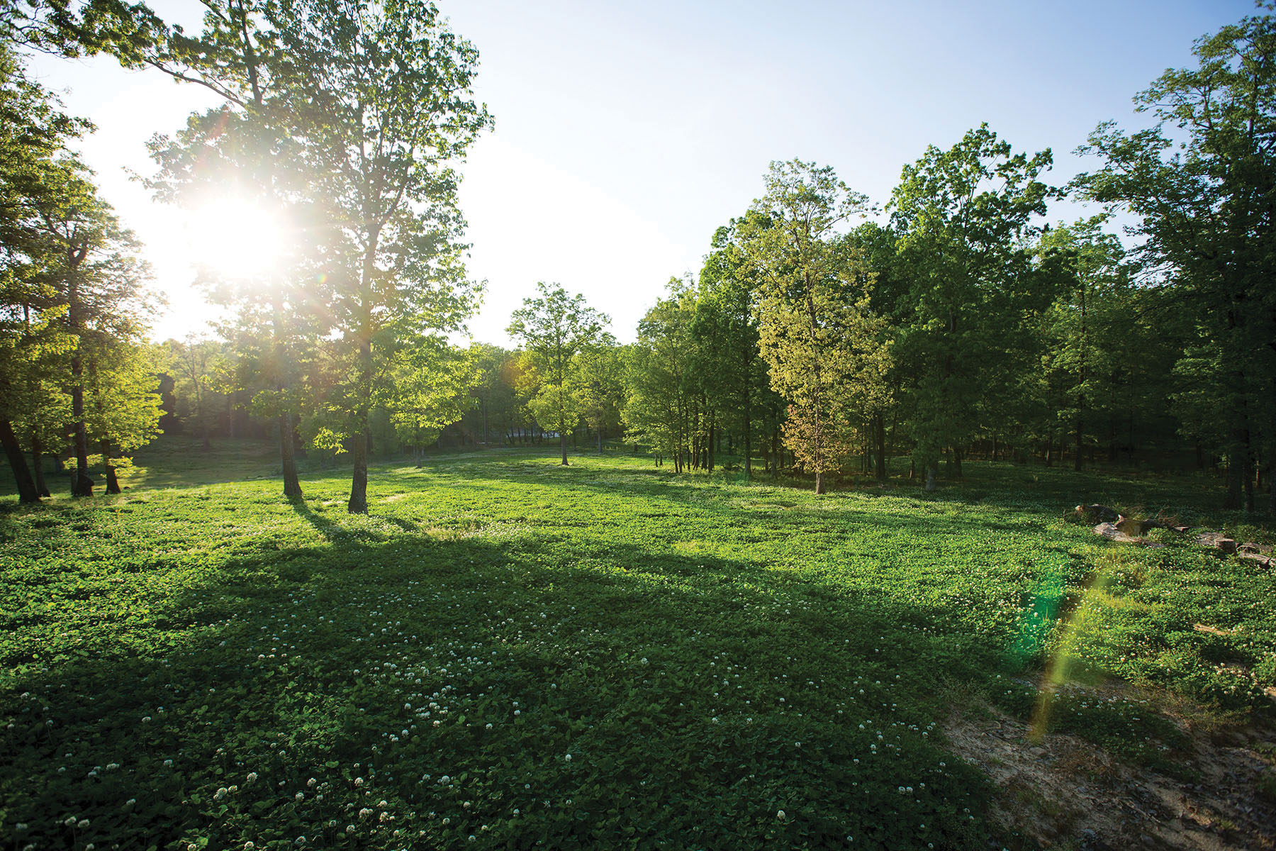 Round Cove property picture 78 of 111
