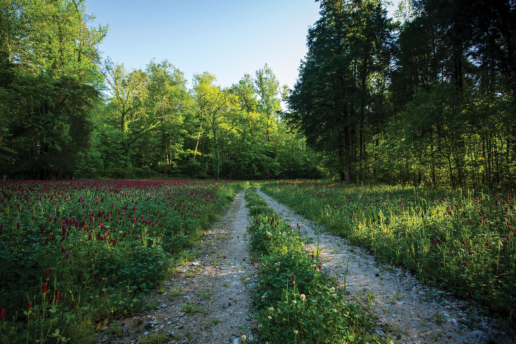 Round Cove property picture 92 of 111