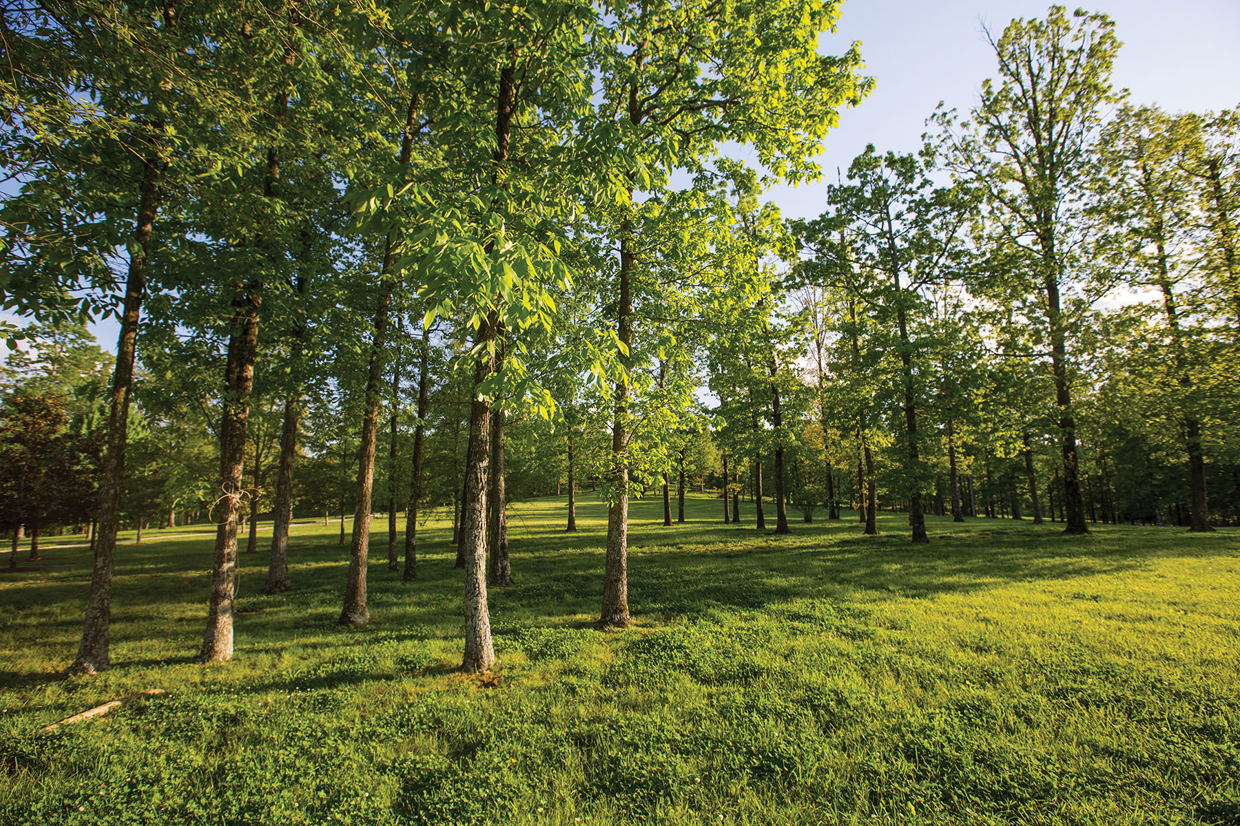 Round Cove property picture 6 of 111