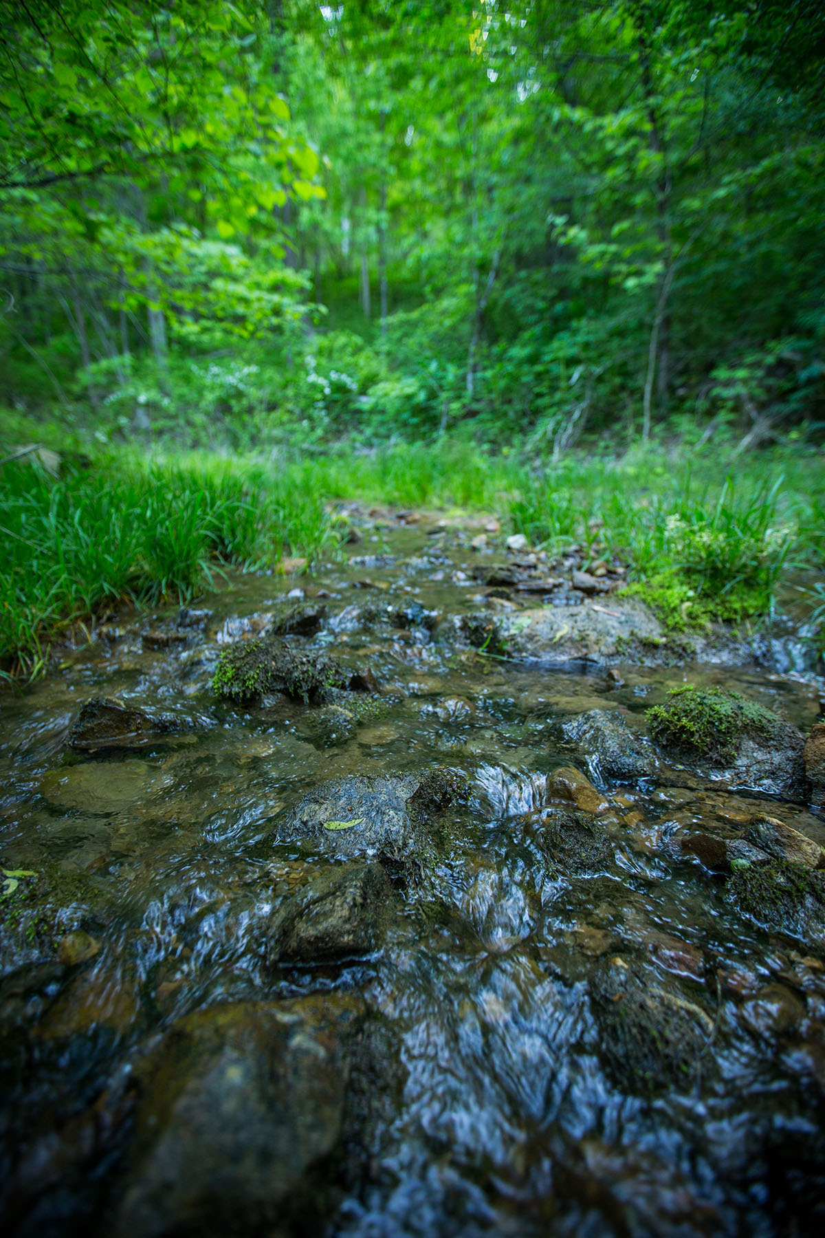 Round Cove property picture 100 of 111