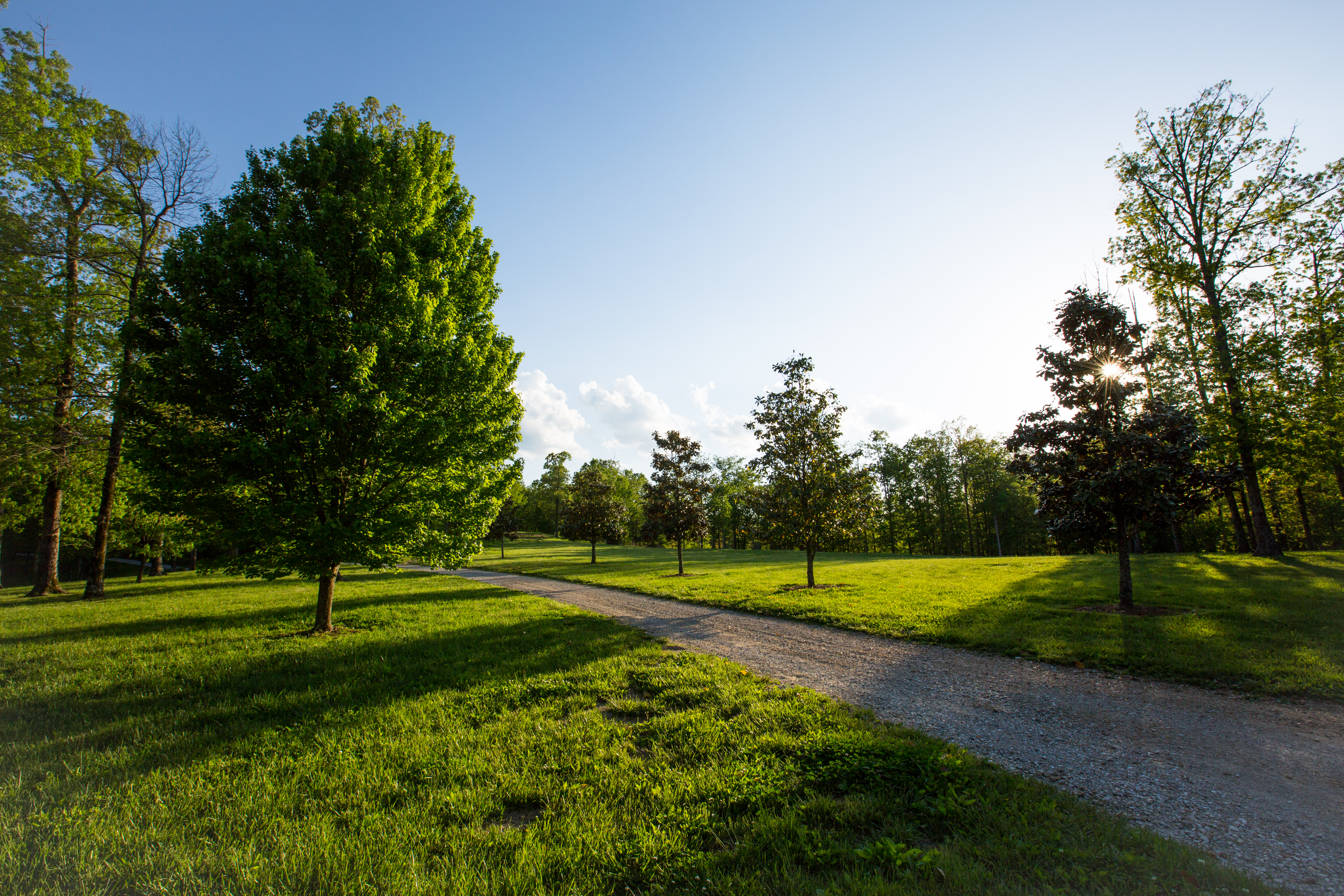 Round Cove property picture 98 of 111