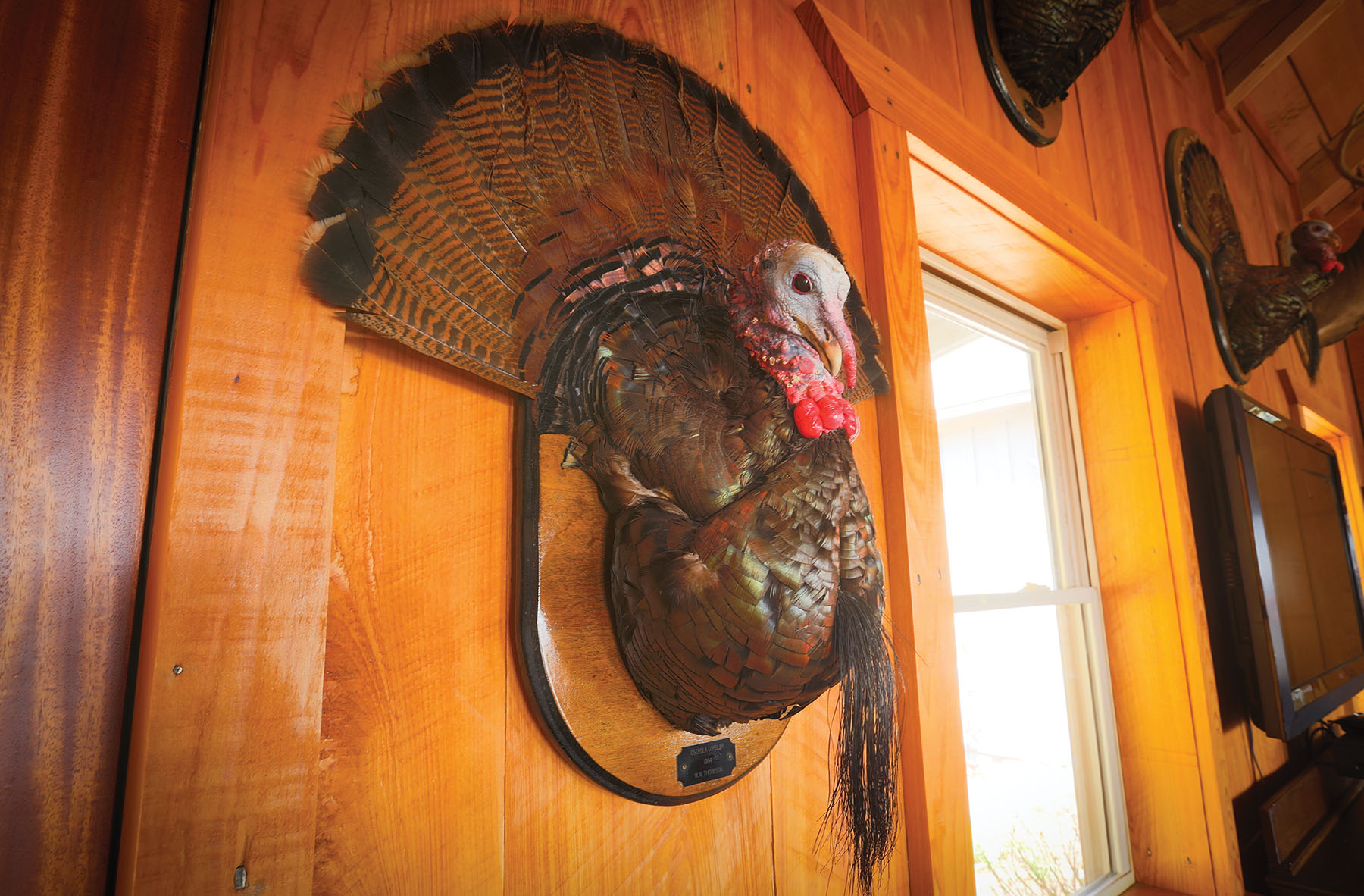 Round Cove property picture 46 of 111