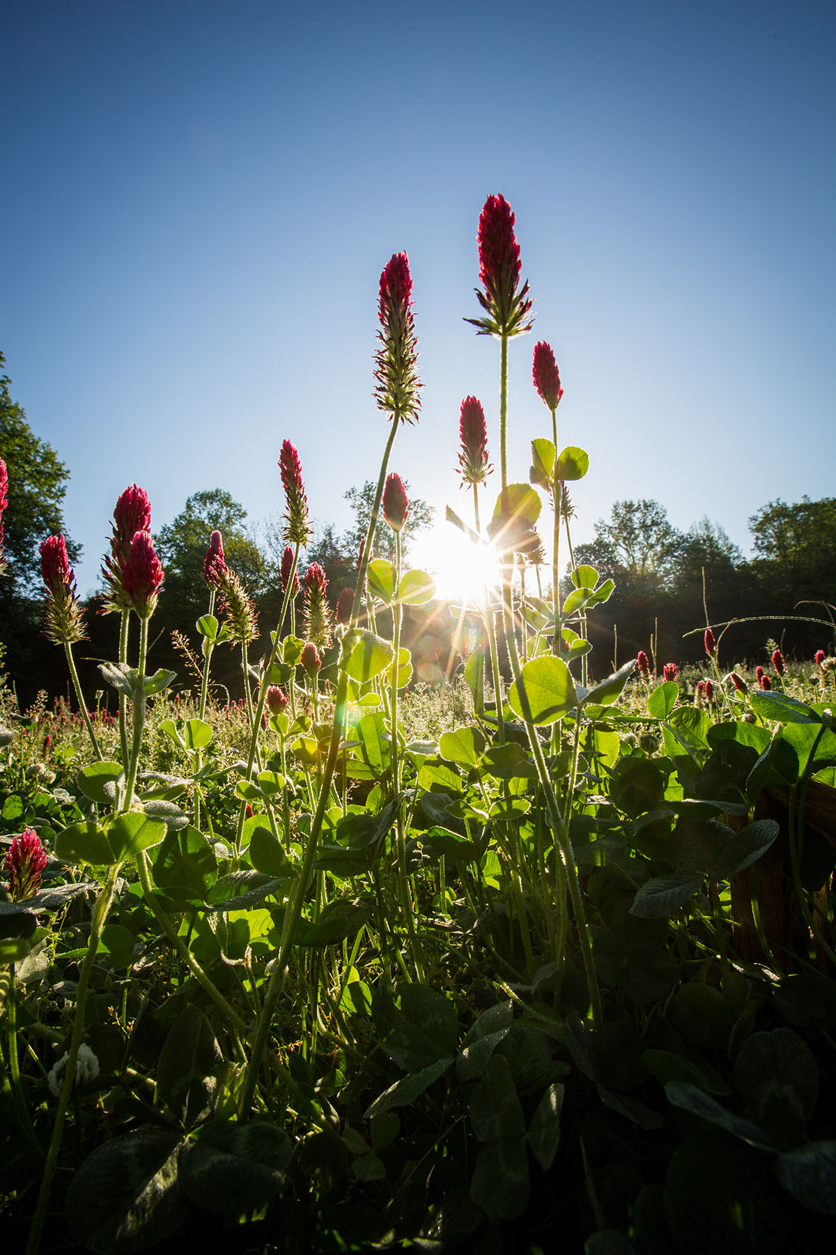 Round Cove property picture 11 of 111