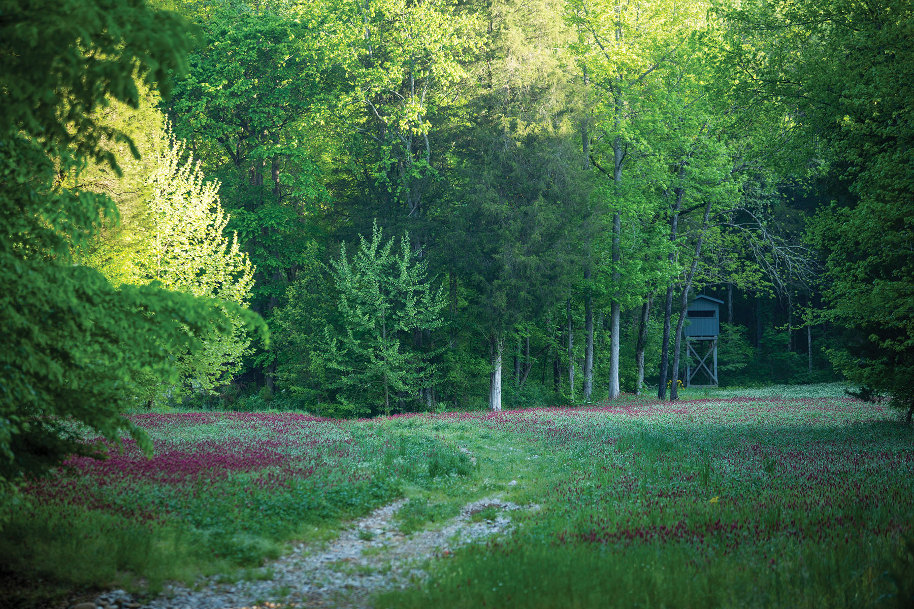 Round Cove property picture 95 of 111