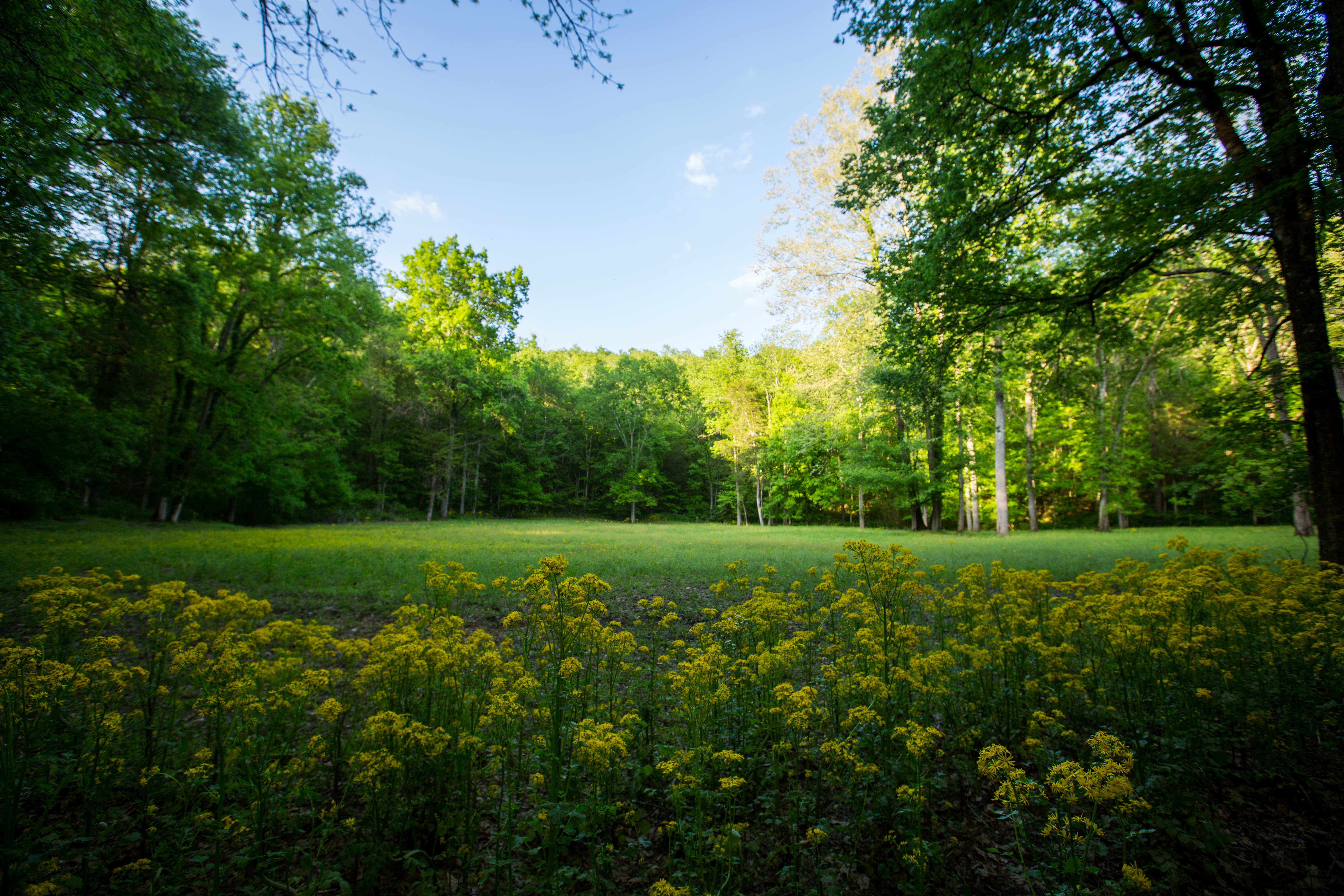 Round Cove property picture 63 of 111