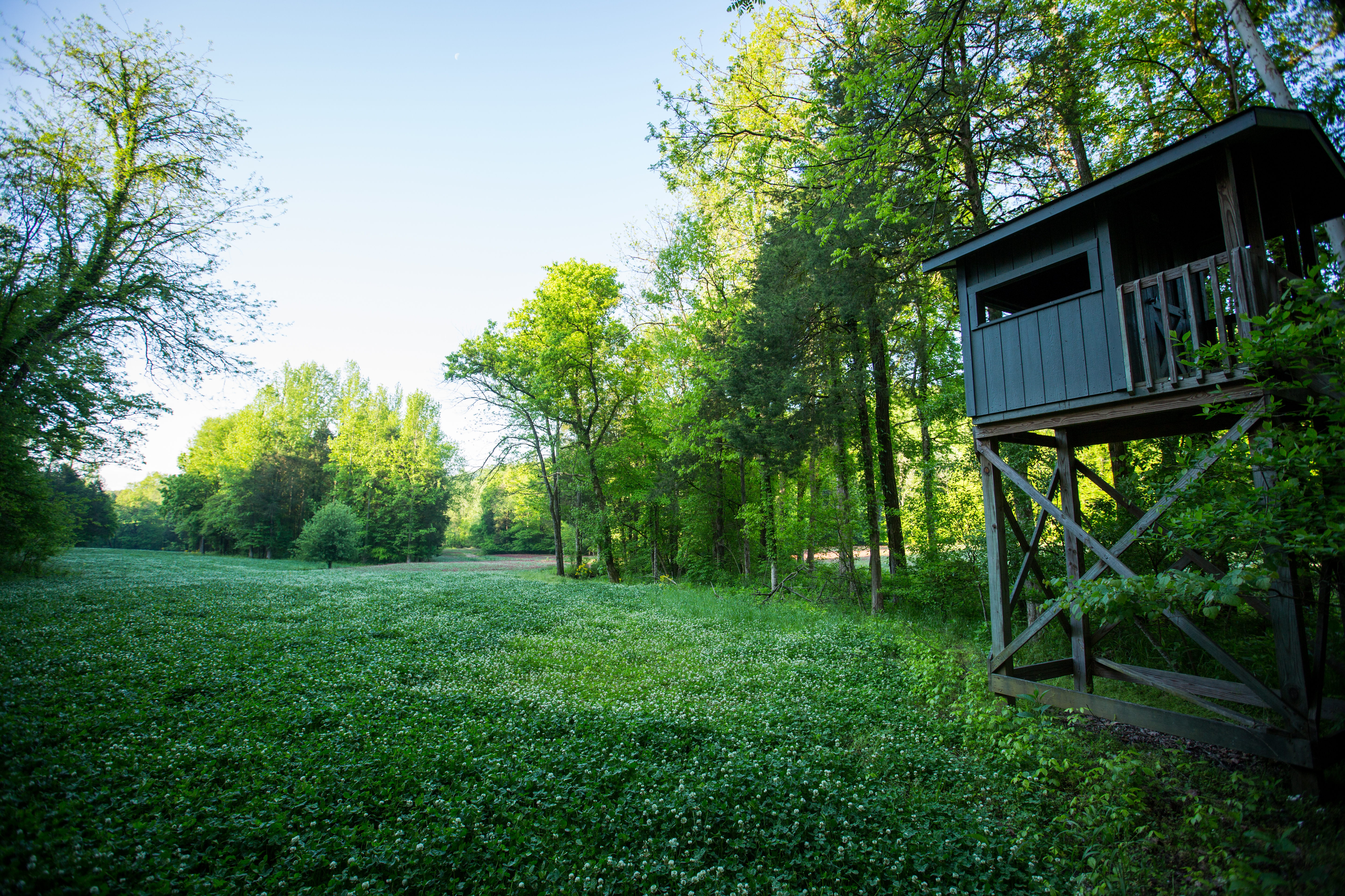 Round Cove property picture 41 of 111