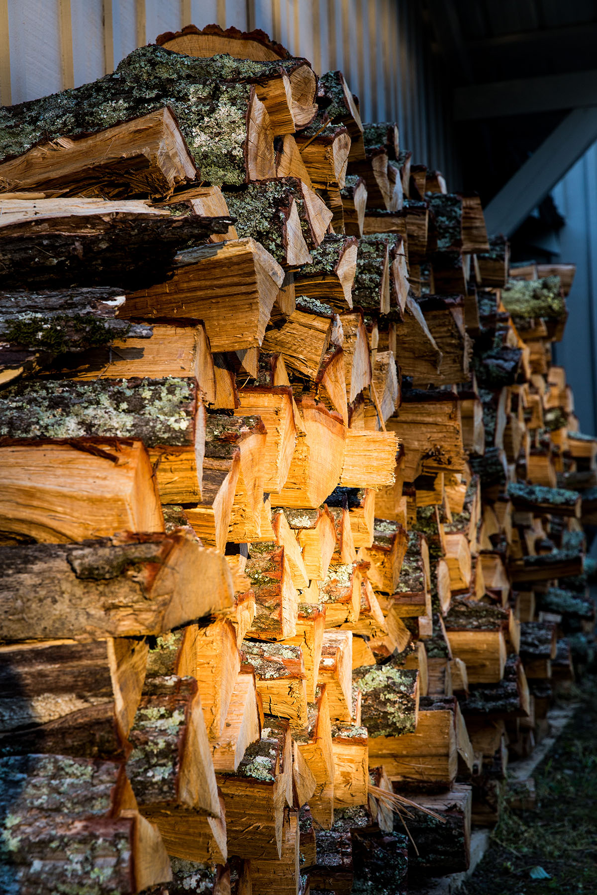 Round Cove property picture 70 of 111